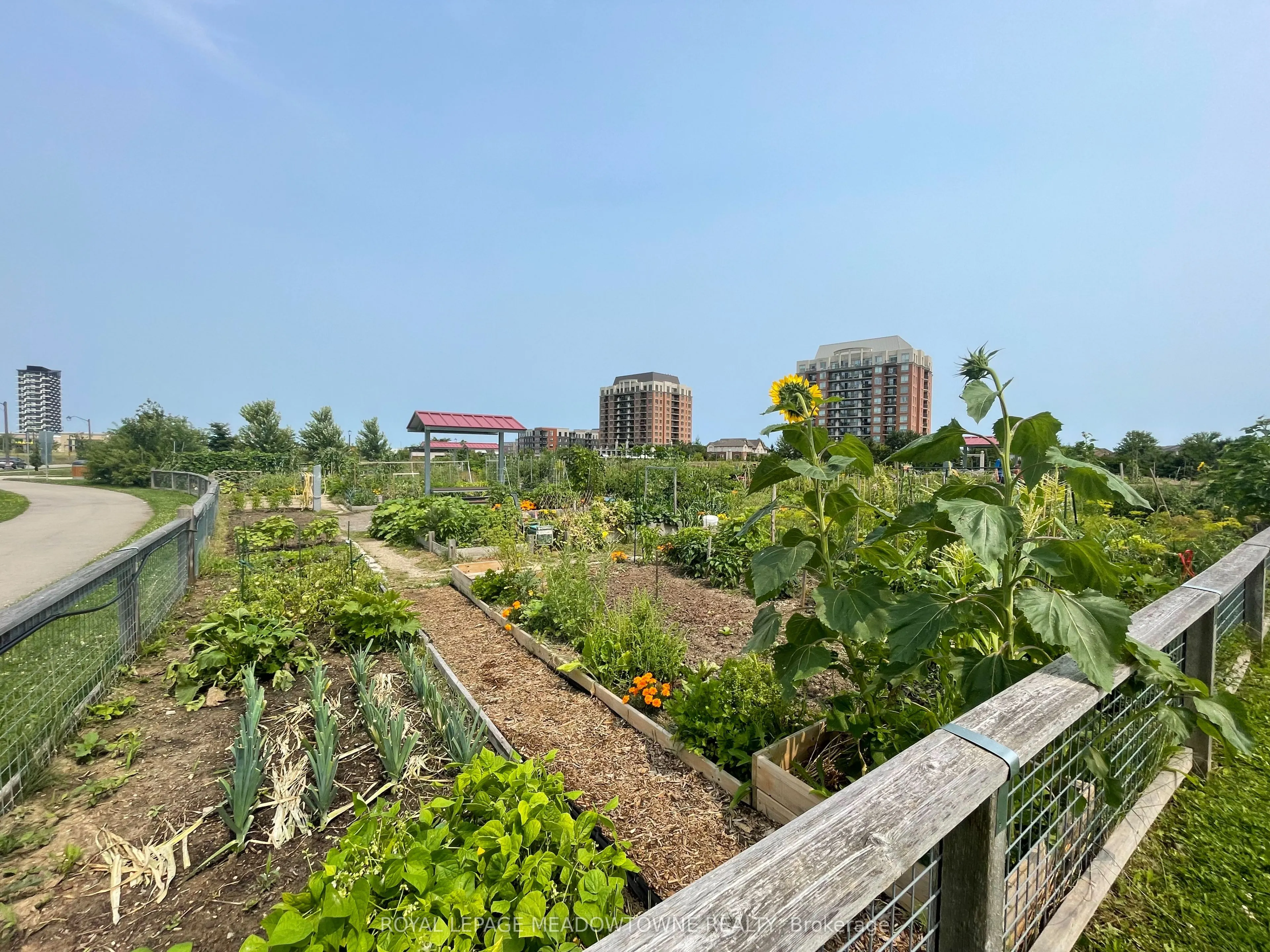 15 Hays Boulevard #18