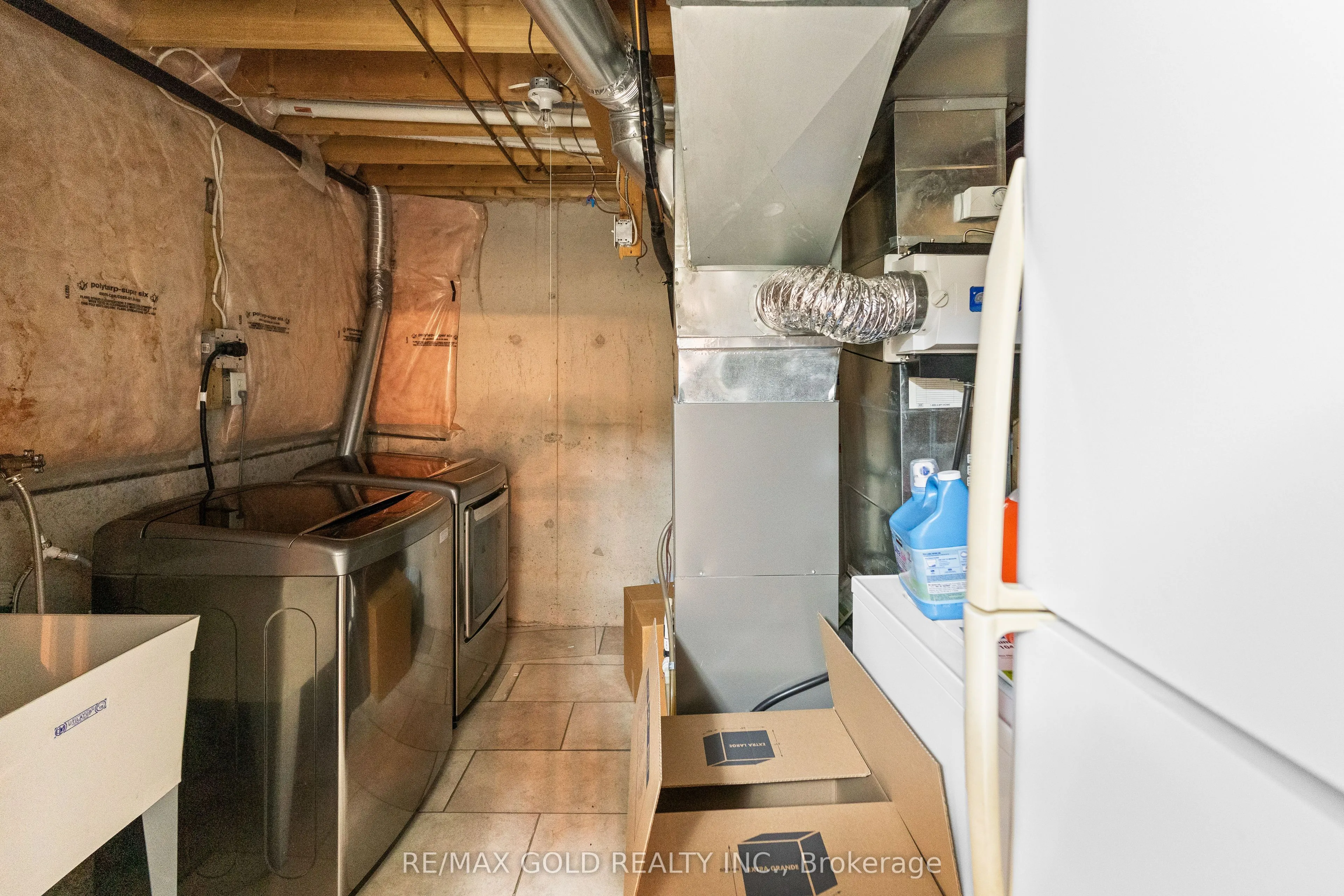 519 Delphine Drive