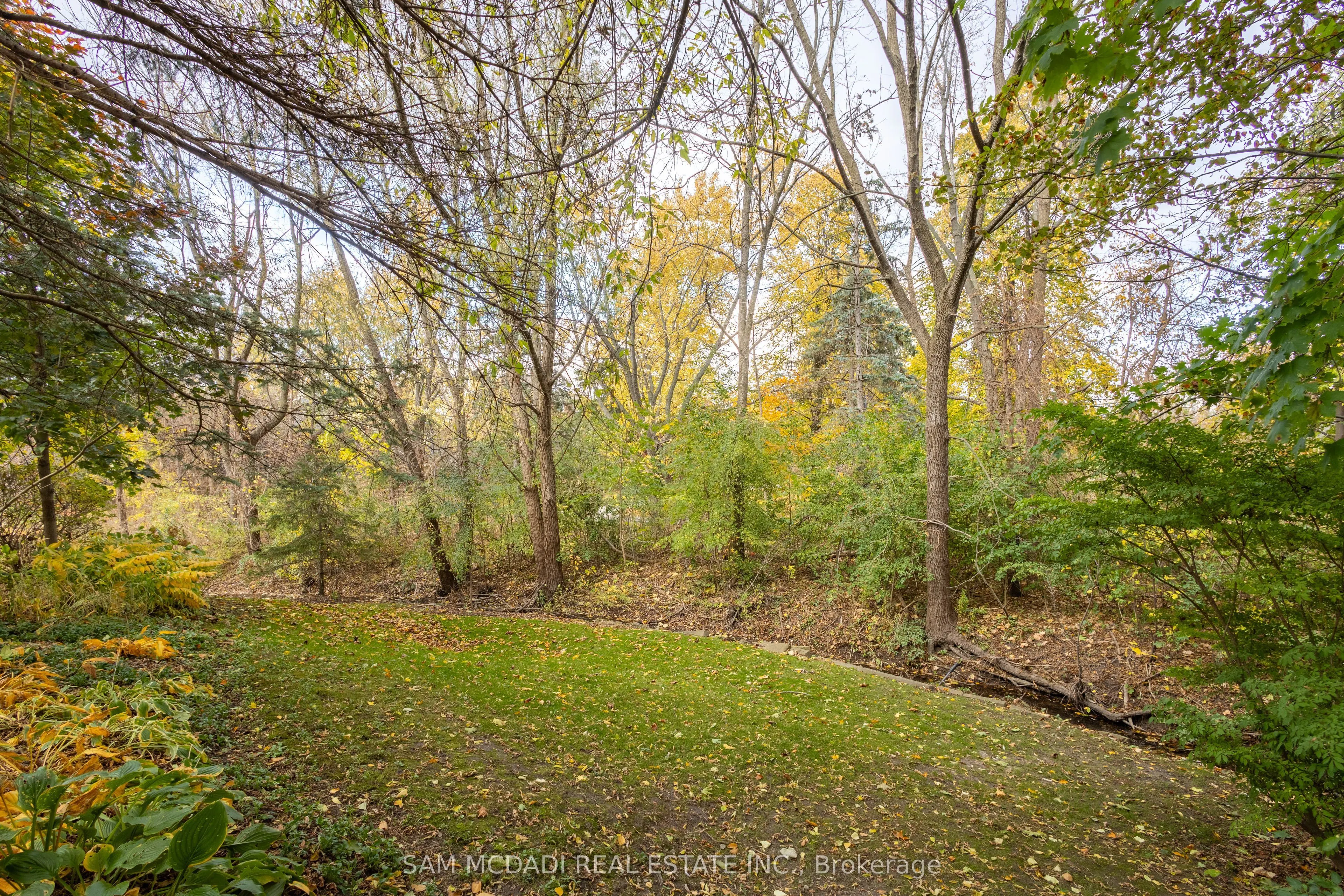 4027 Lookout Court