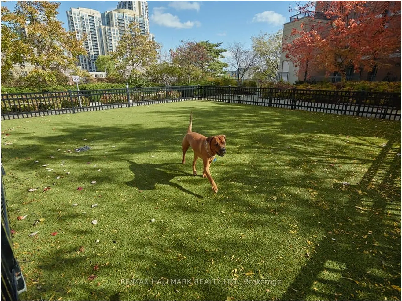 5191 Dundas Street W, #305
