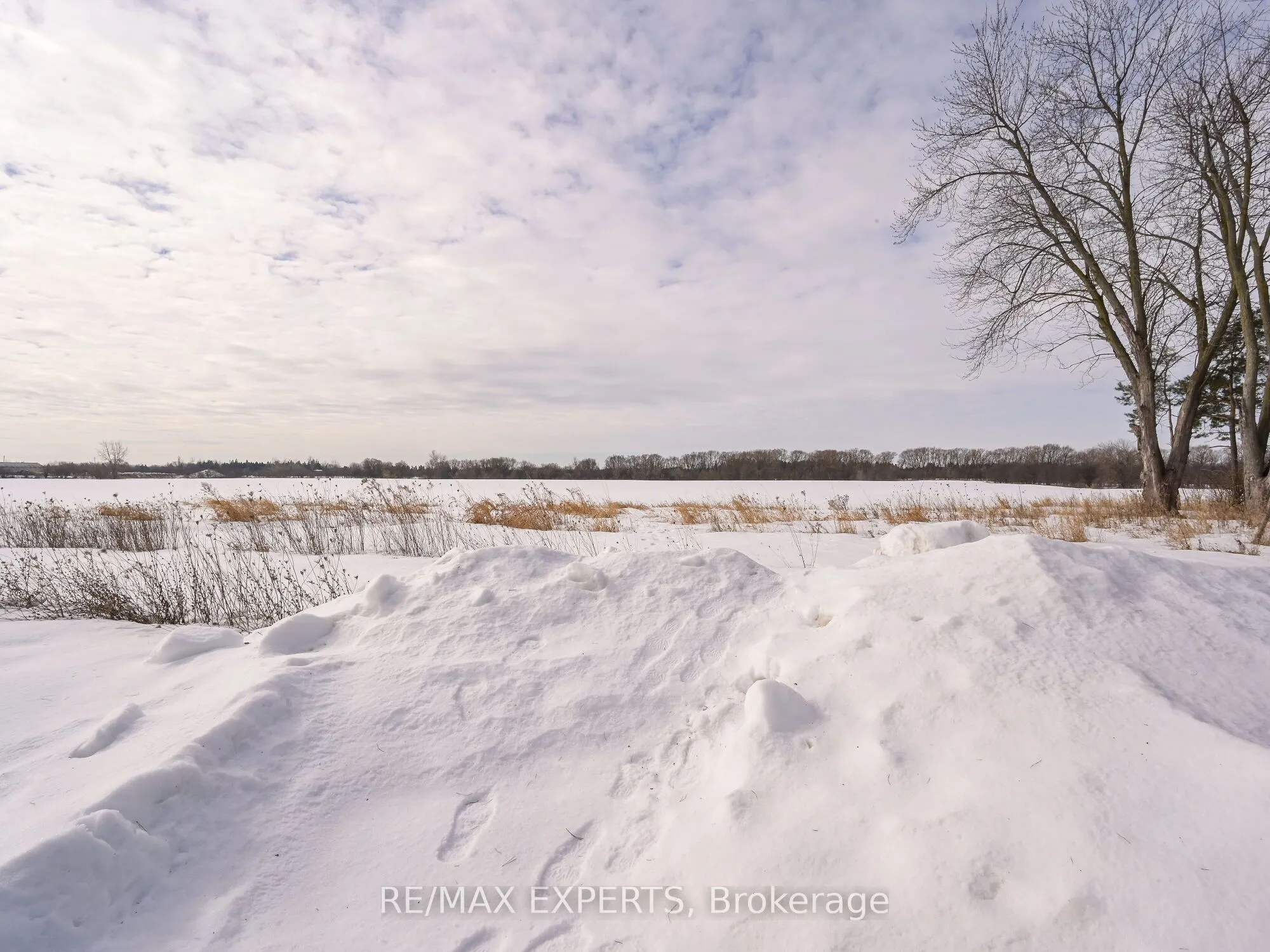 12168 Humber Station Road