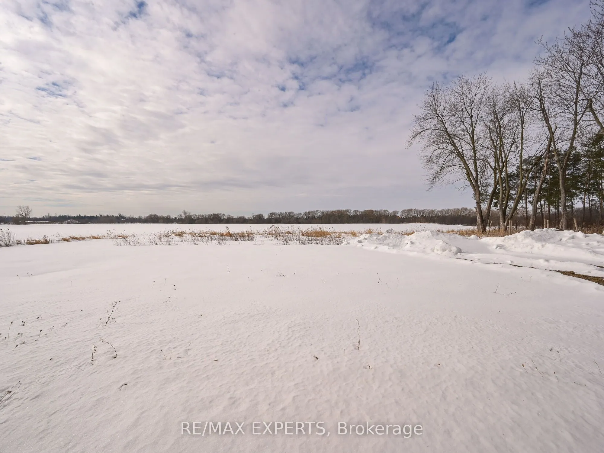 12168 Humber Station Road