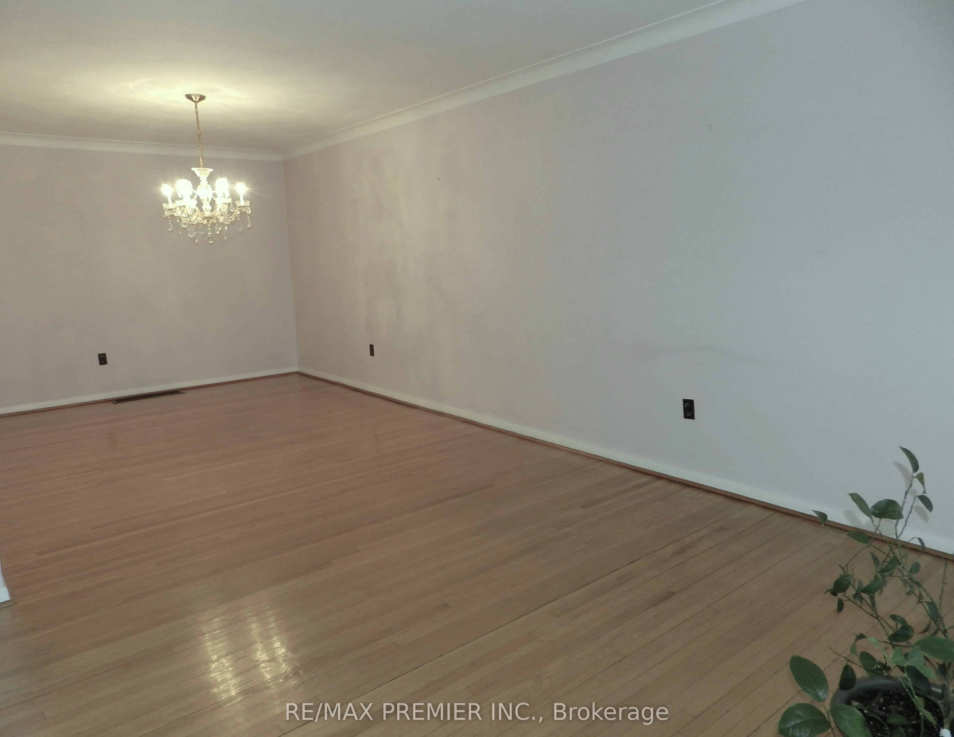 5 Stong Court