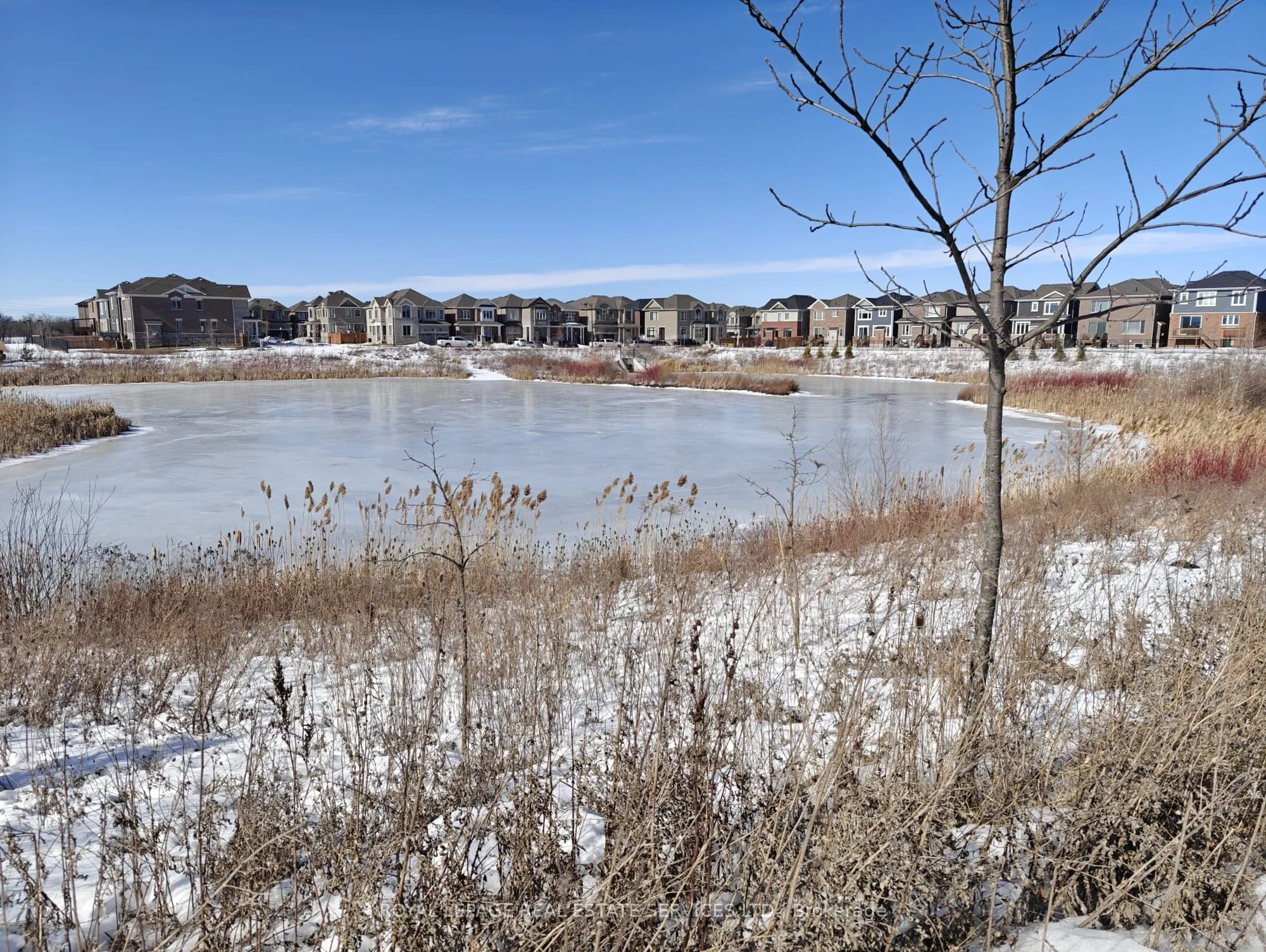 770 Whitlock Avenue, #510