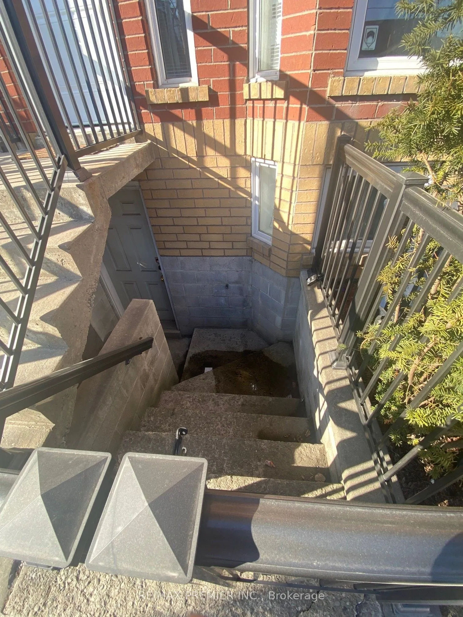 1524 Dupont Street, #Lower