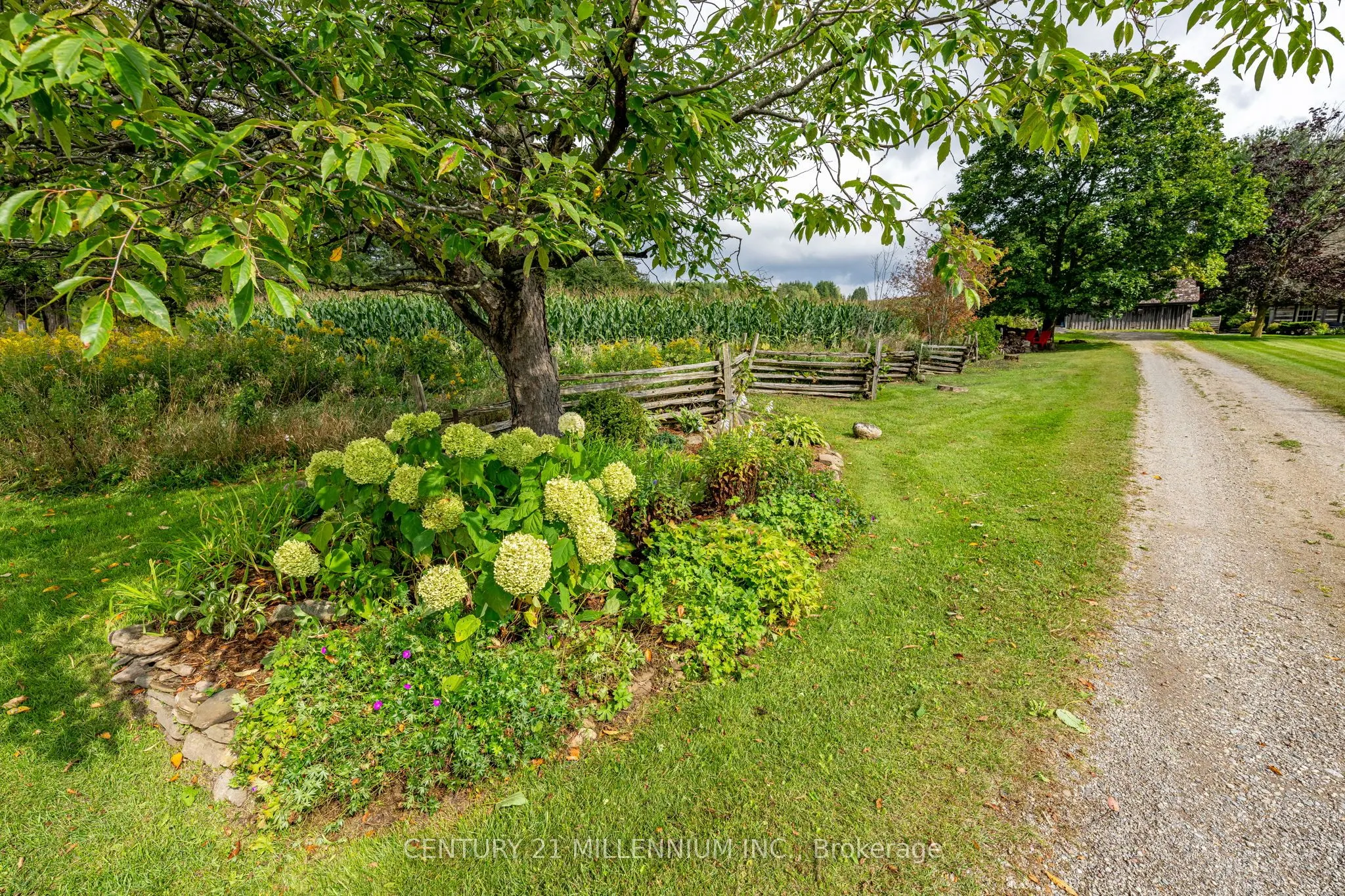 20909 Shaws Creek Road