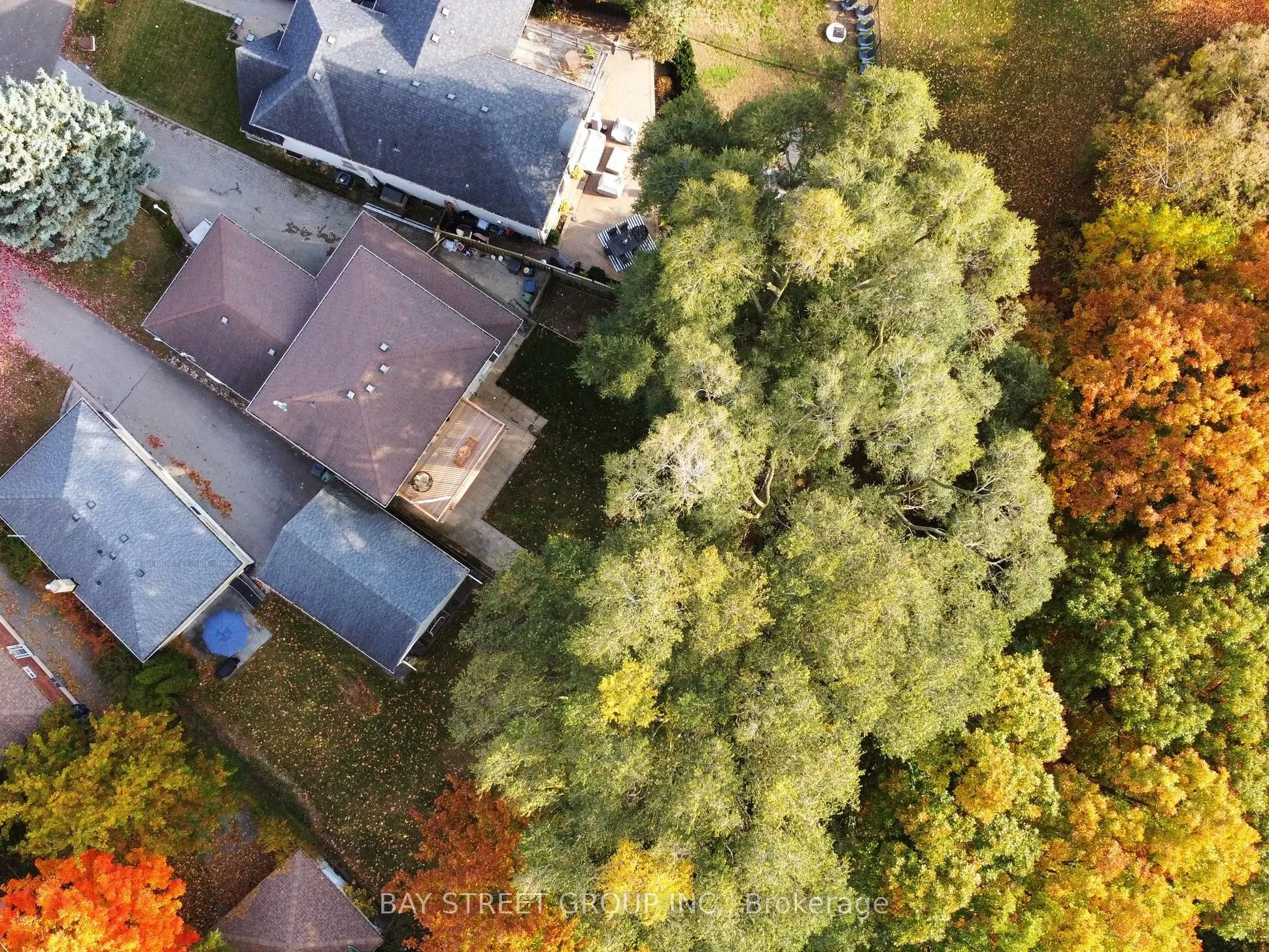 45 Enfield Avenue