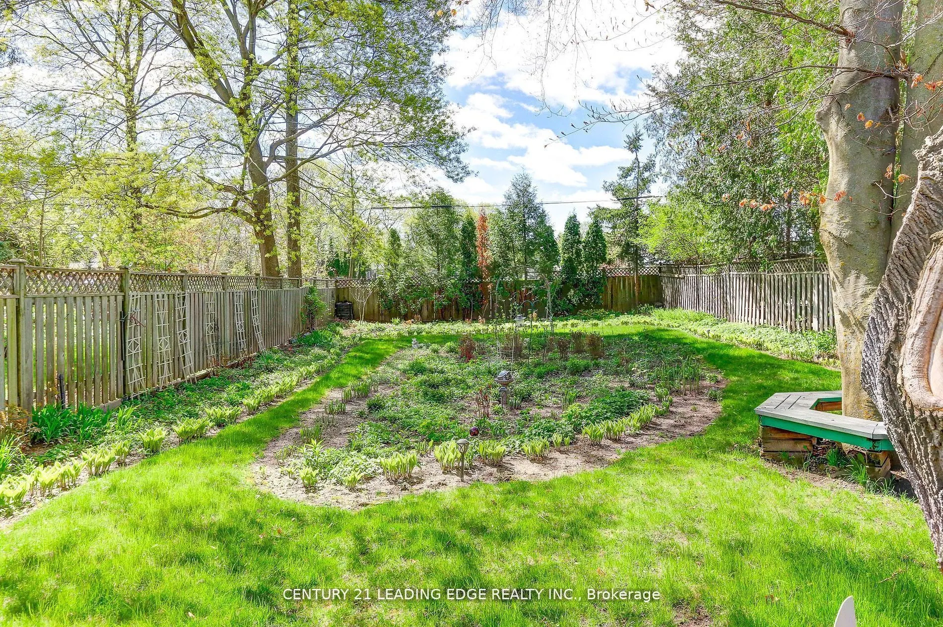 19 Royaleigh Avenue