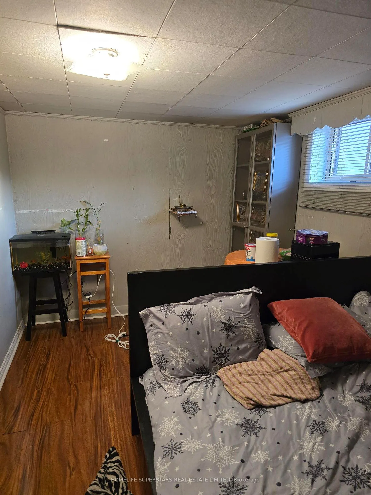 918 Islington (Bsmnt) Avenue