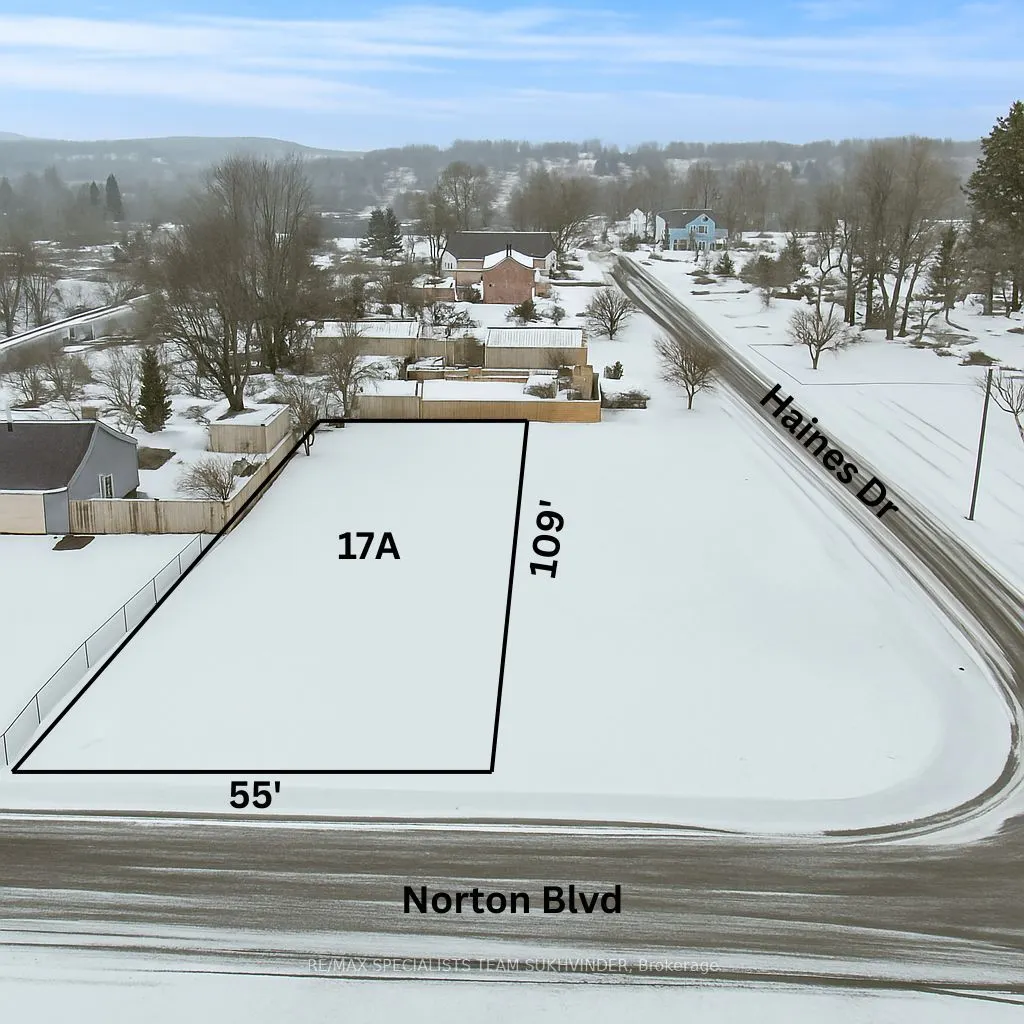 17 Norton Boulevard