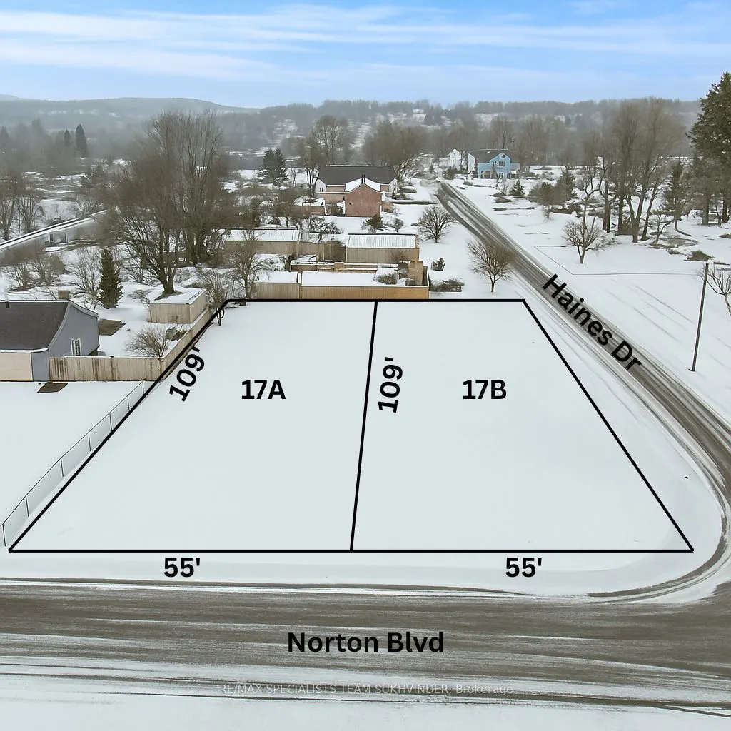 17 Norton Boulevard
