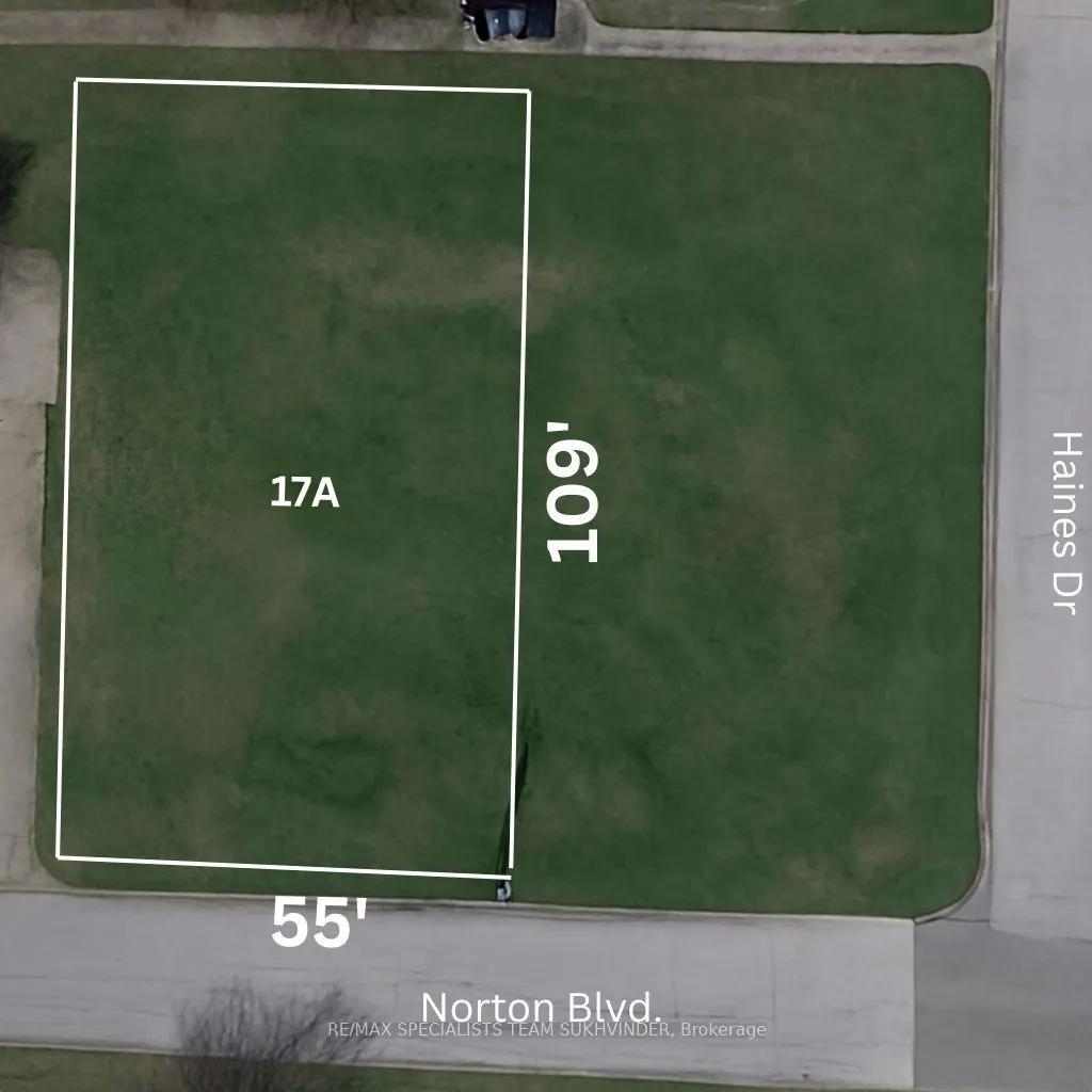 17 Norton Boulevard