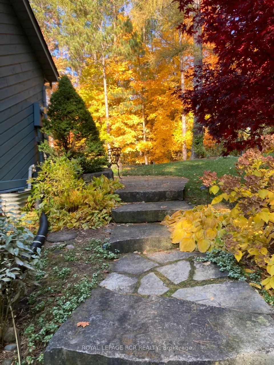 12 Damascus Drive