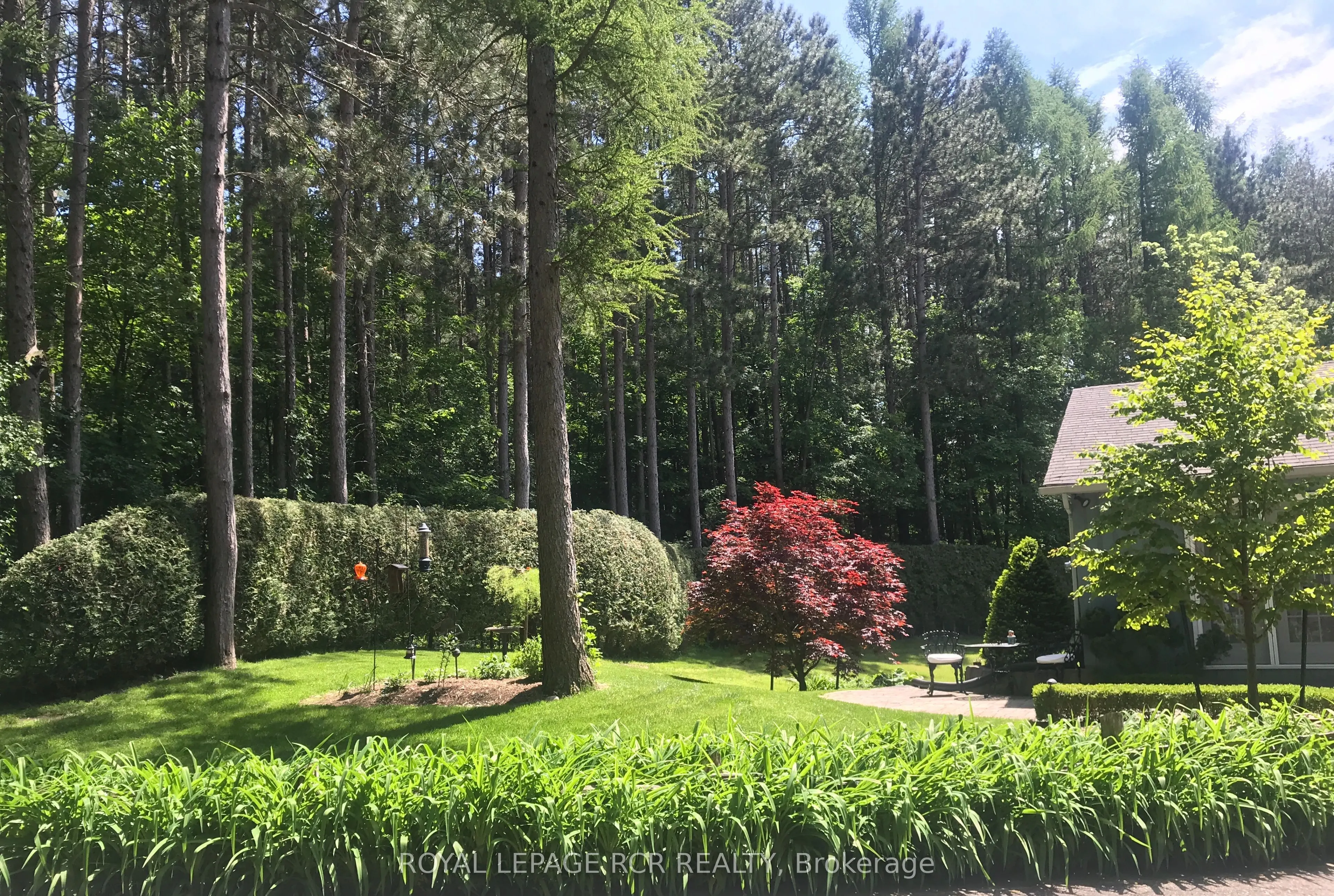 12 Damascus Drive