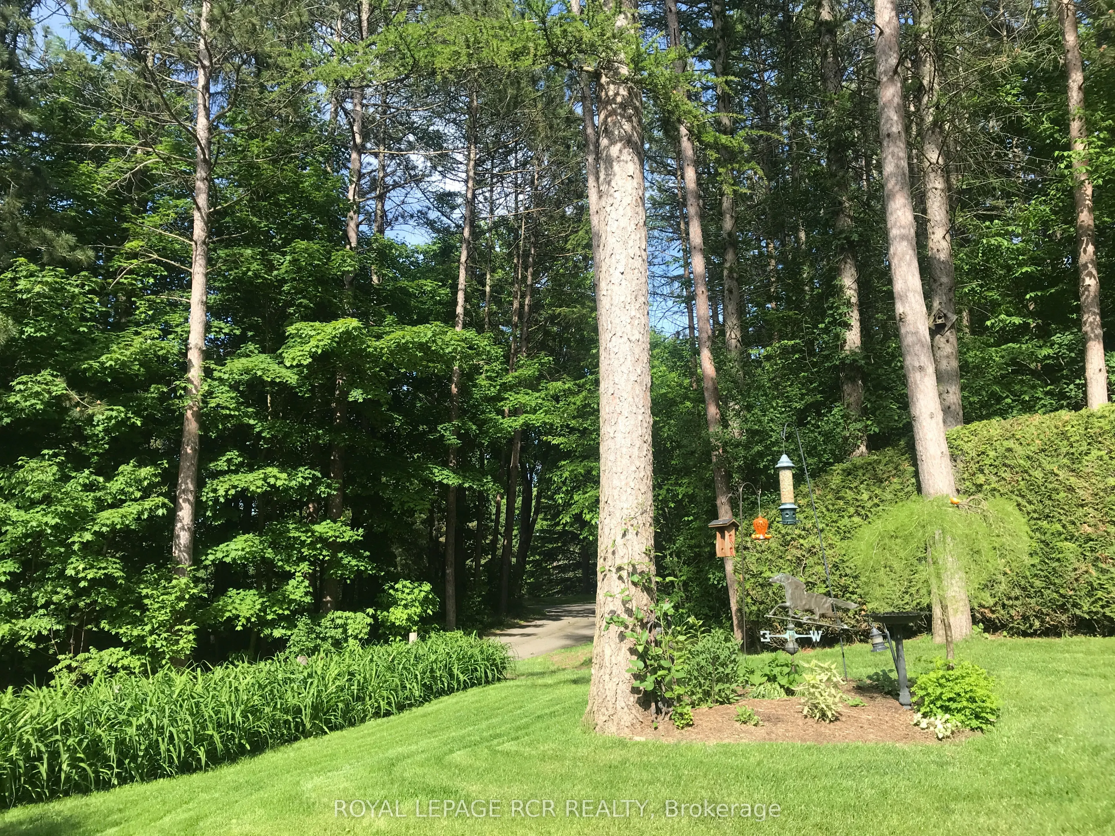 12 Damascus Drive