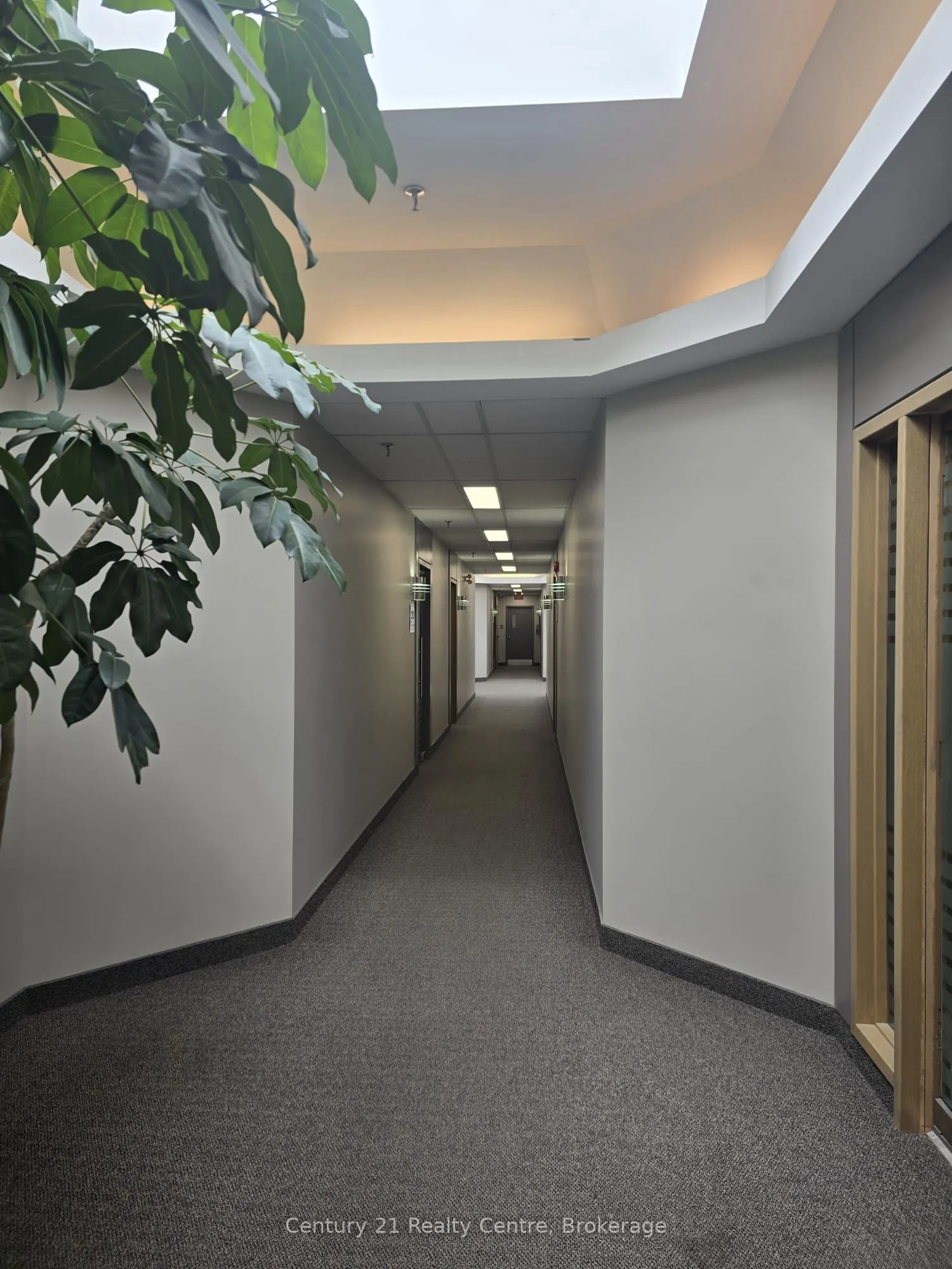 7895 Tranmere Drive, #207
