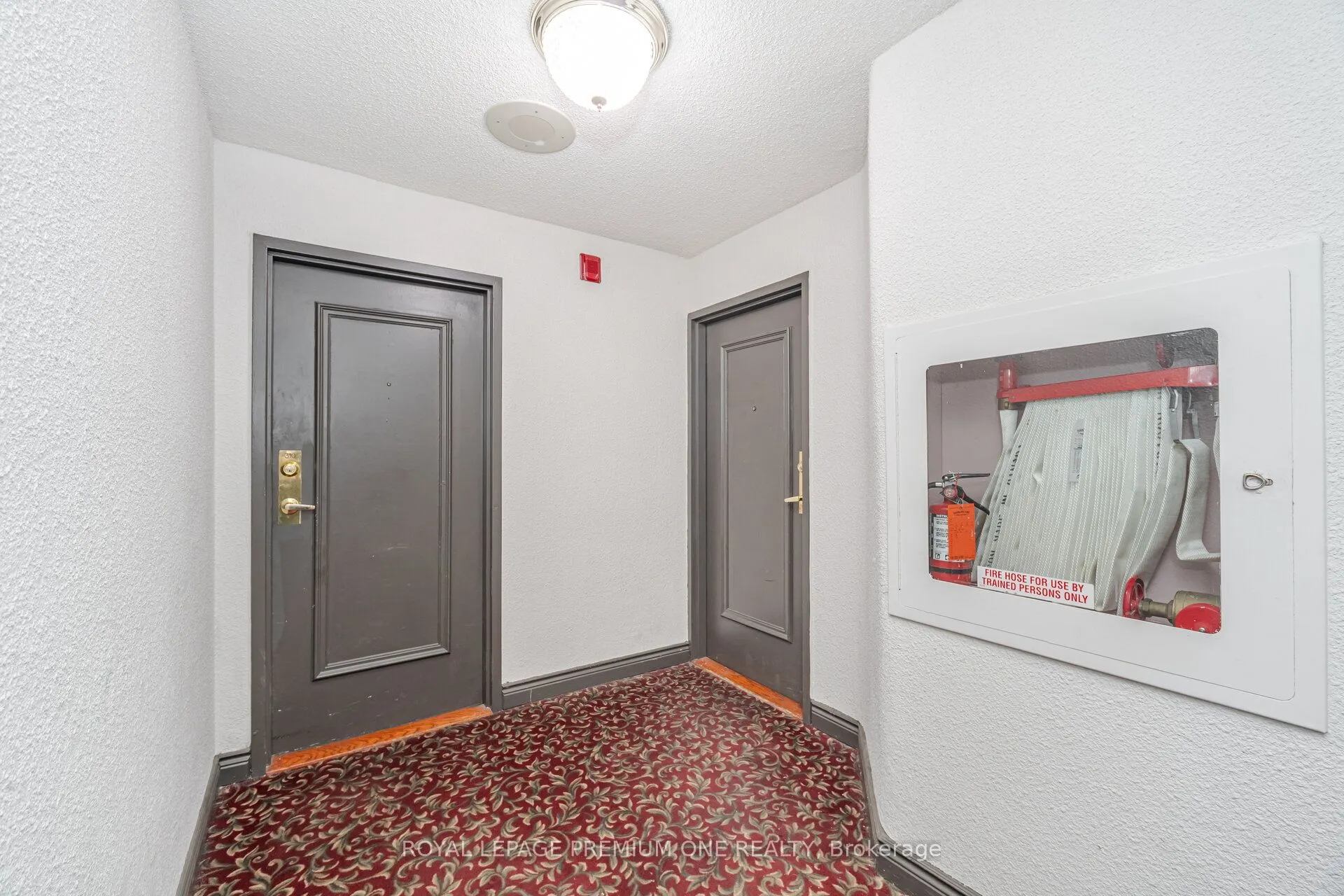 236 Albion Road, #310