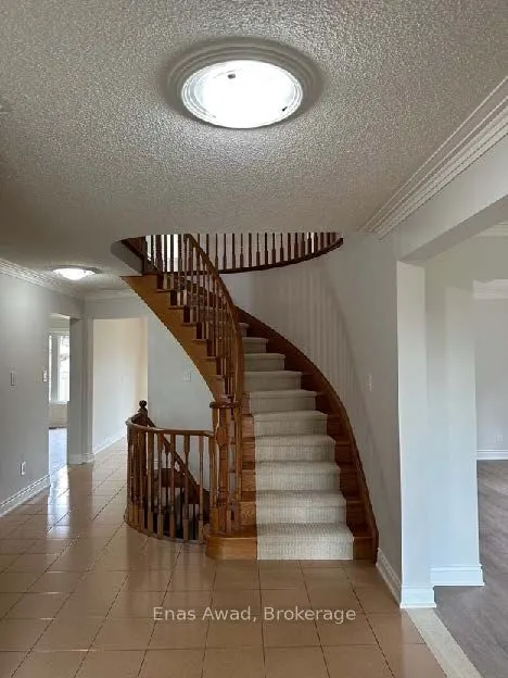 25 Mulholland Avenue