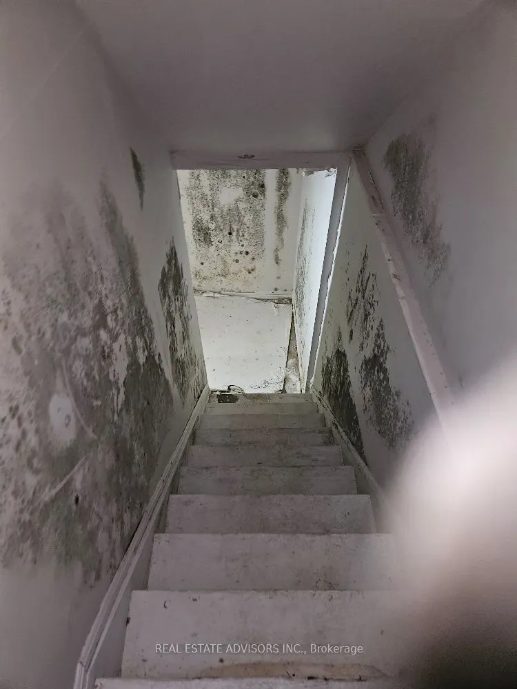 19 Horseshoe Court