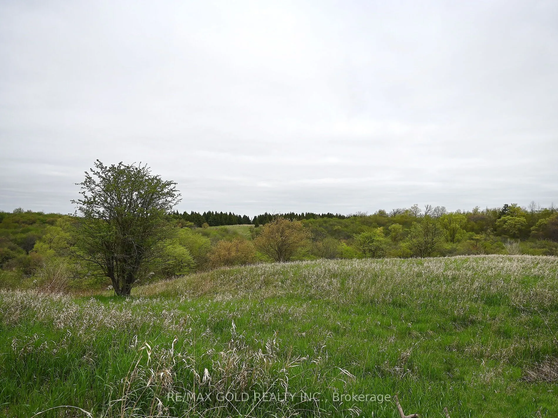 8 Dayspring Circle, #1420