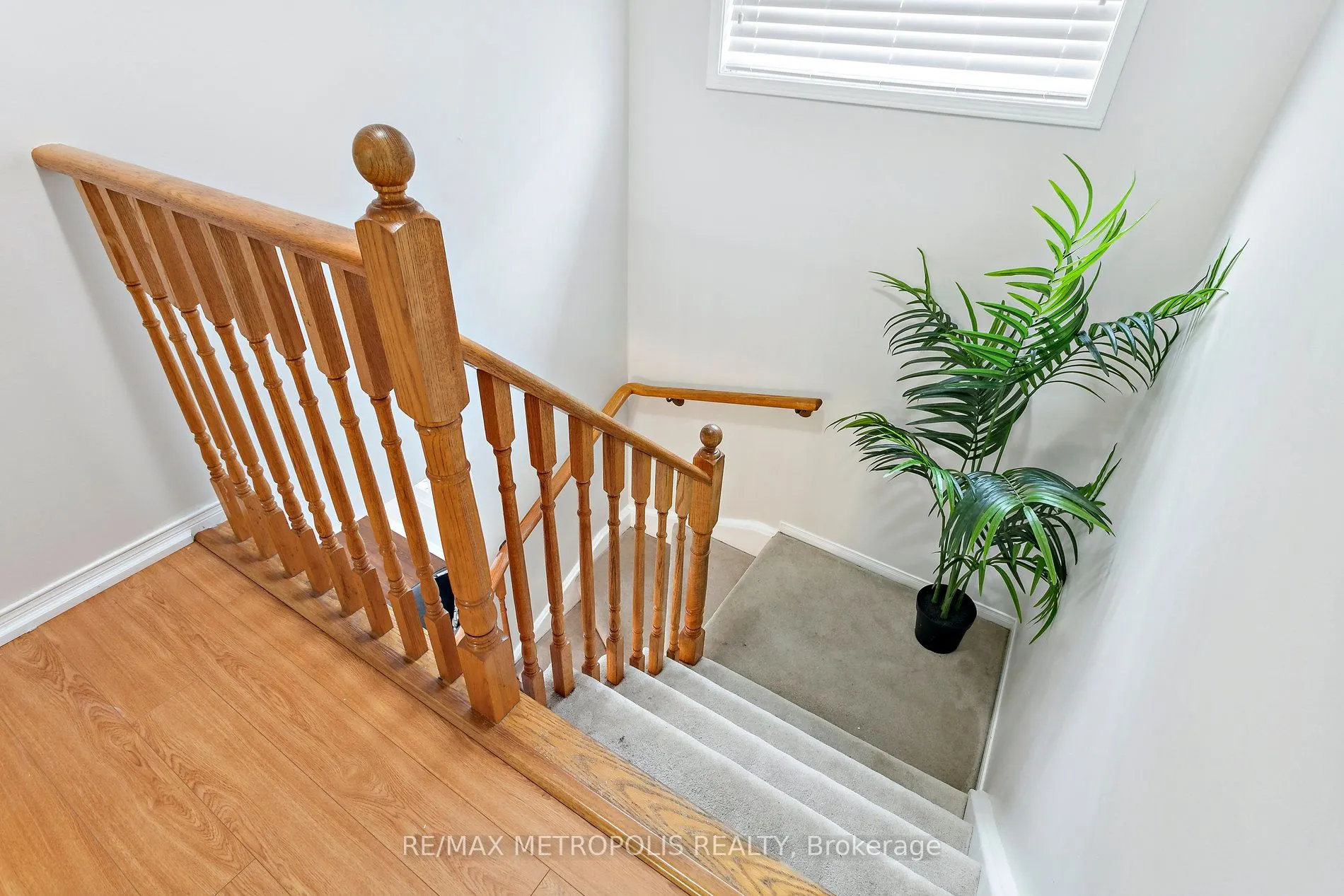 29 Mistdale Crescent