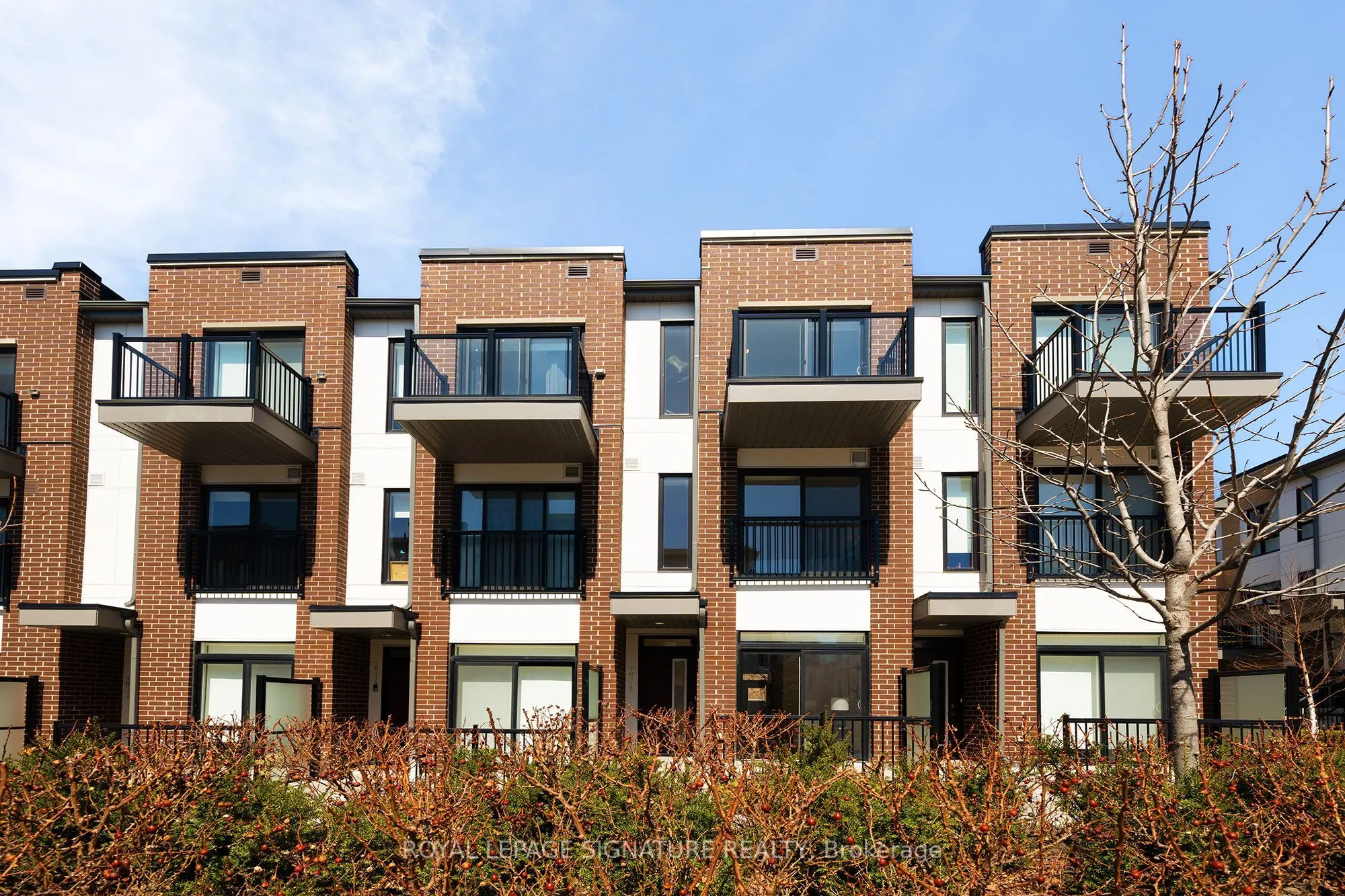 110 Canon Jackson Drive, #113