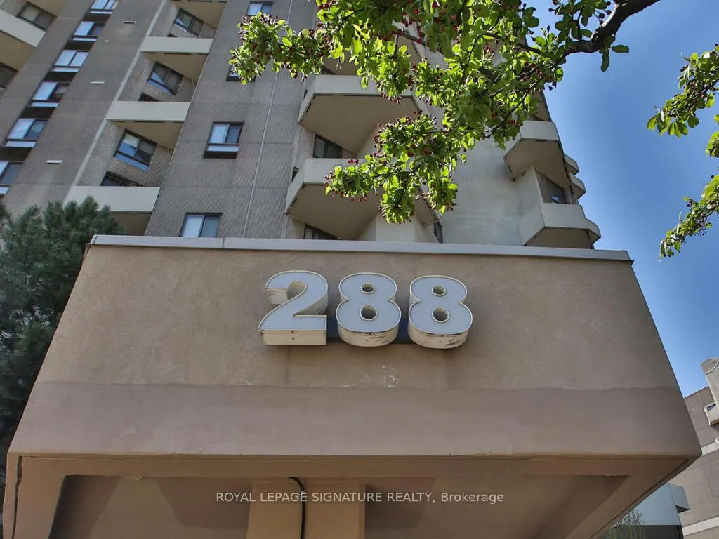 288 Mill Road, #F19