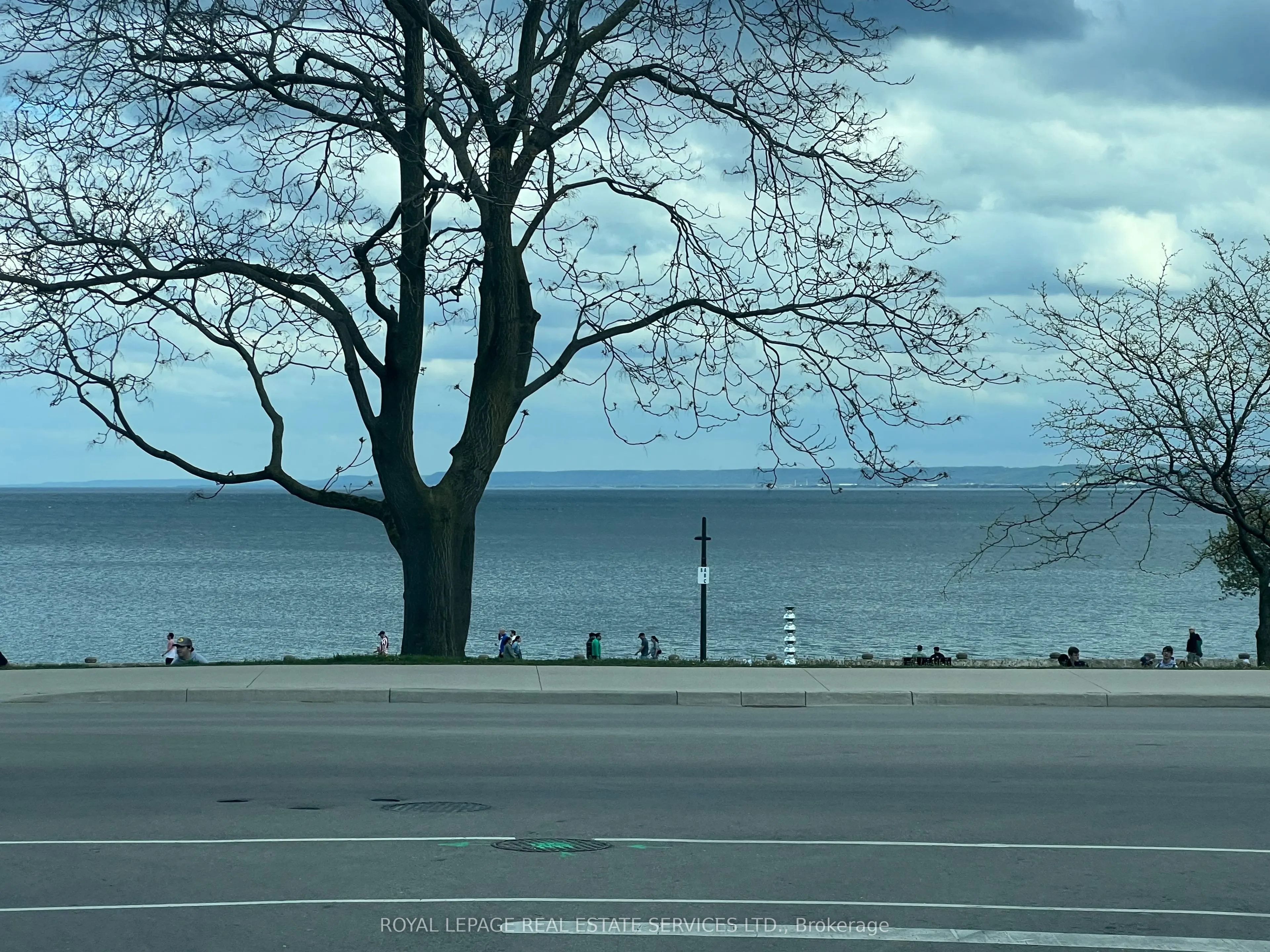 1441 Elgin Street, #117