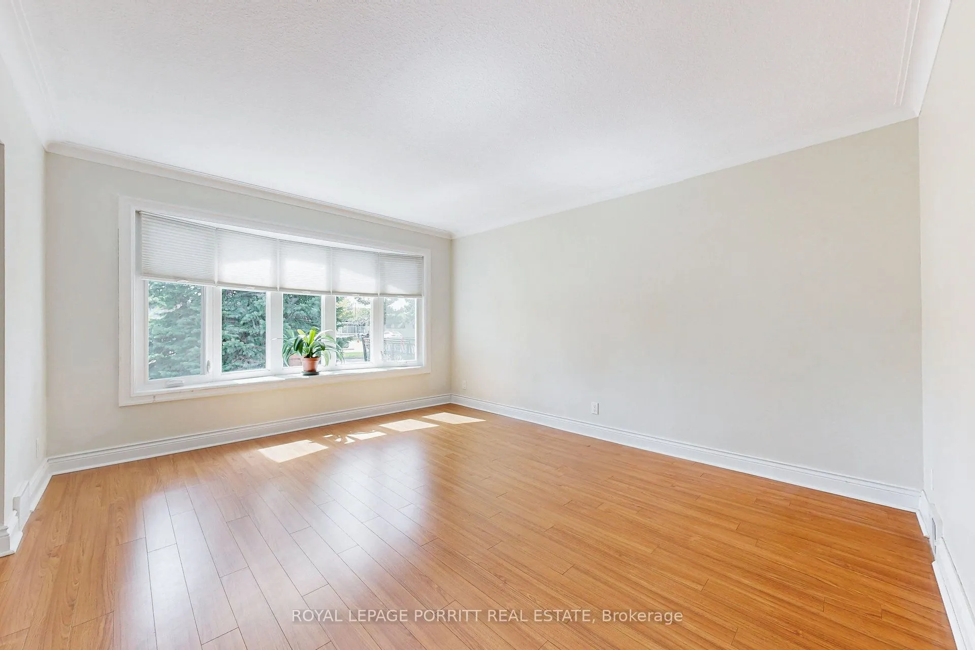3 Orianna Drive