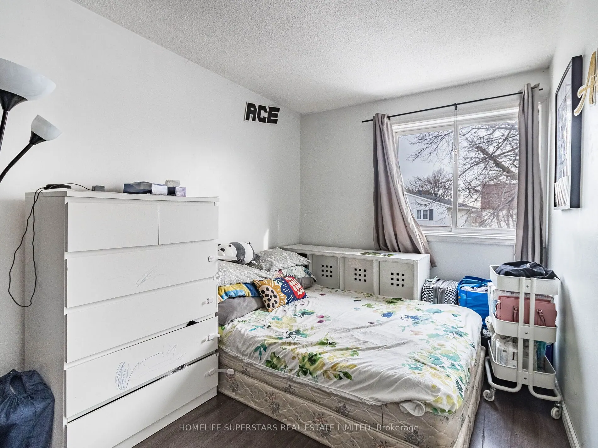 3 Haley Court