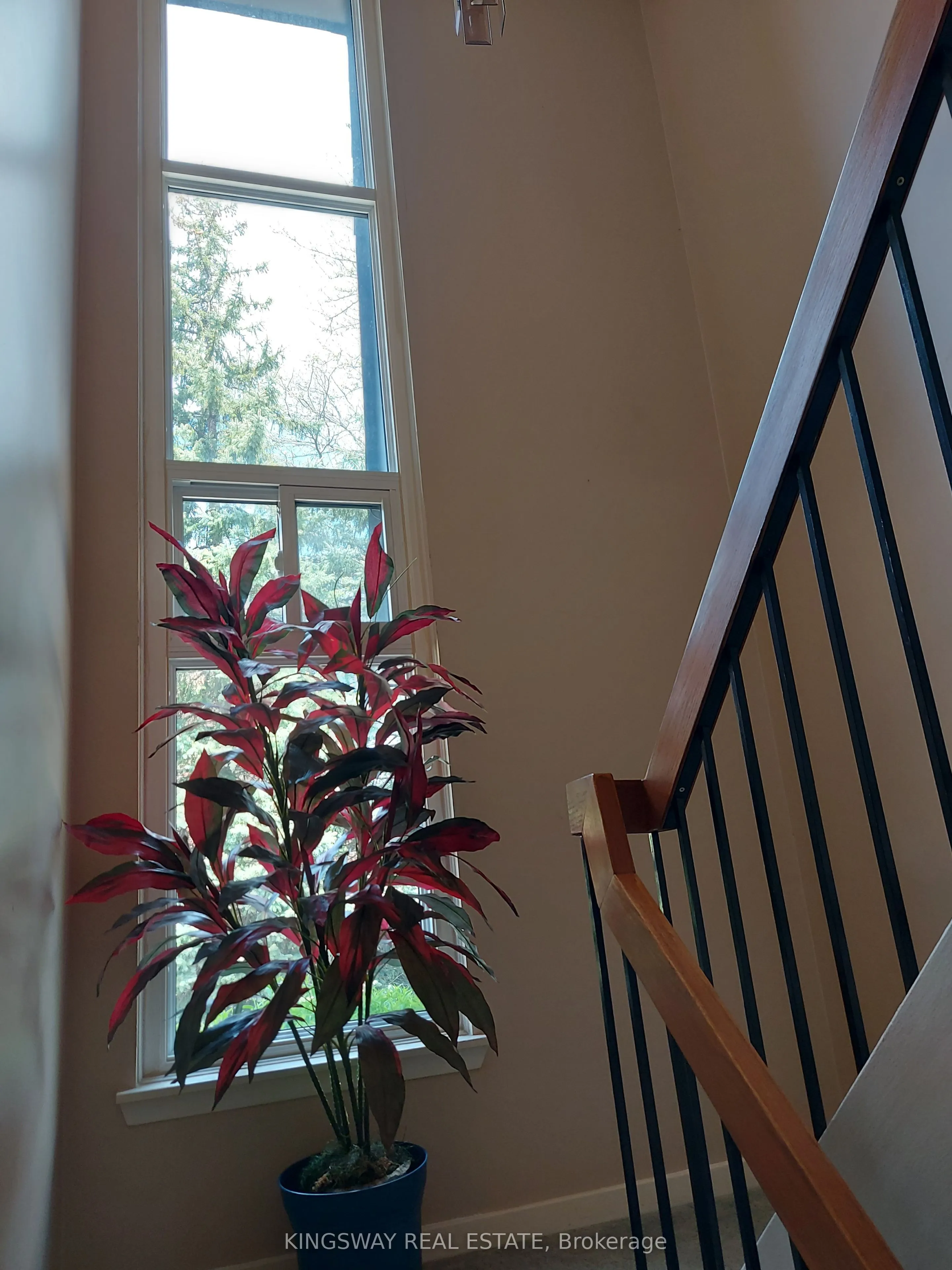 20 Mineola Road E, #101