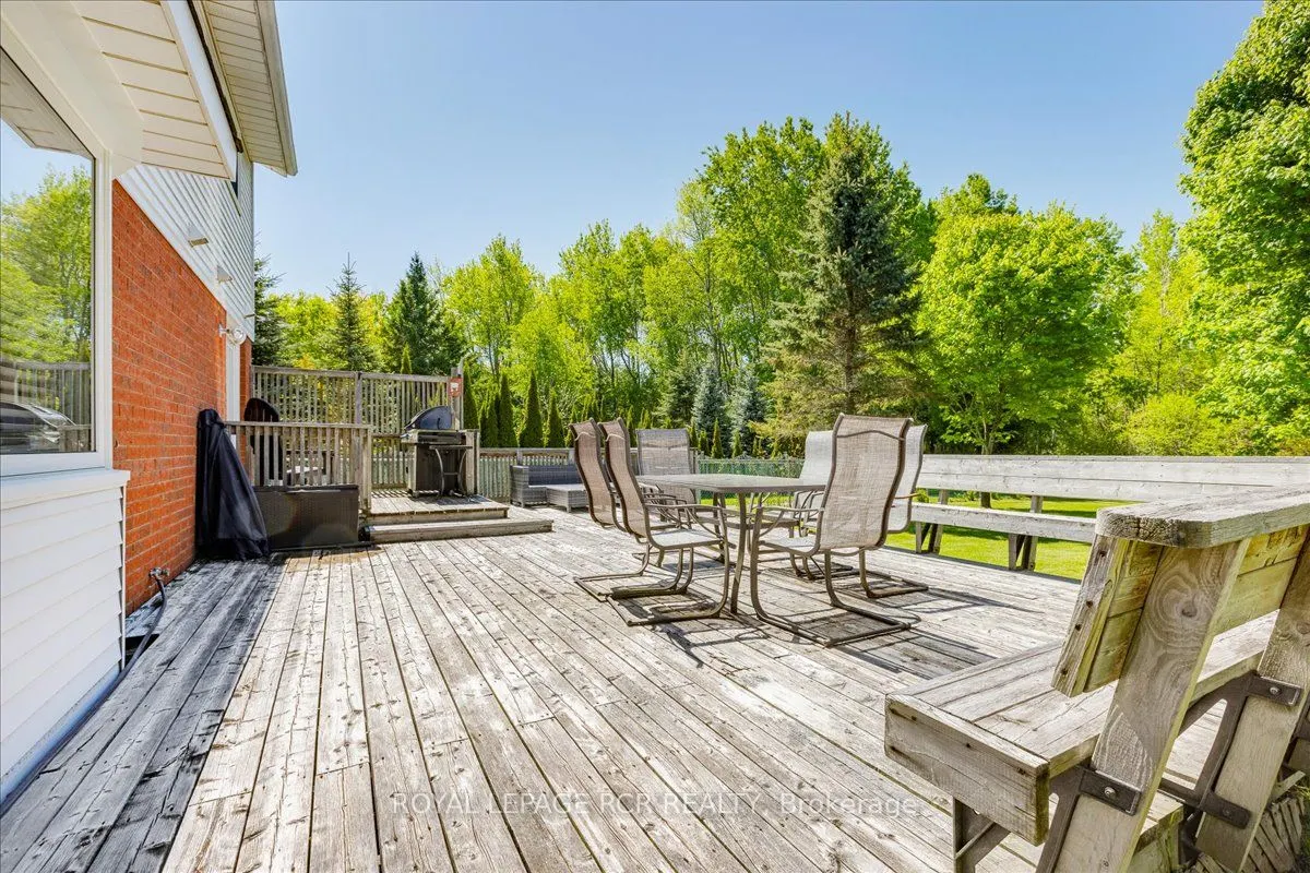 229 Elmwood Crescent