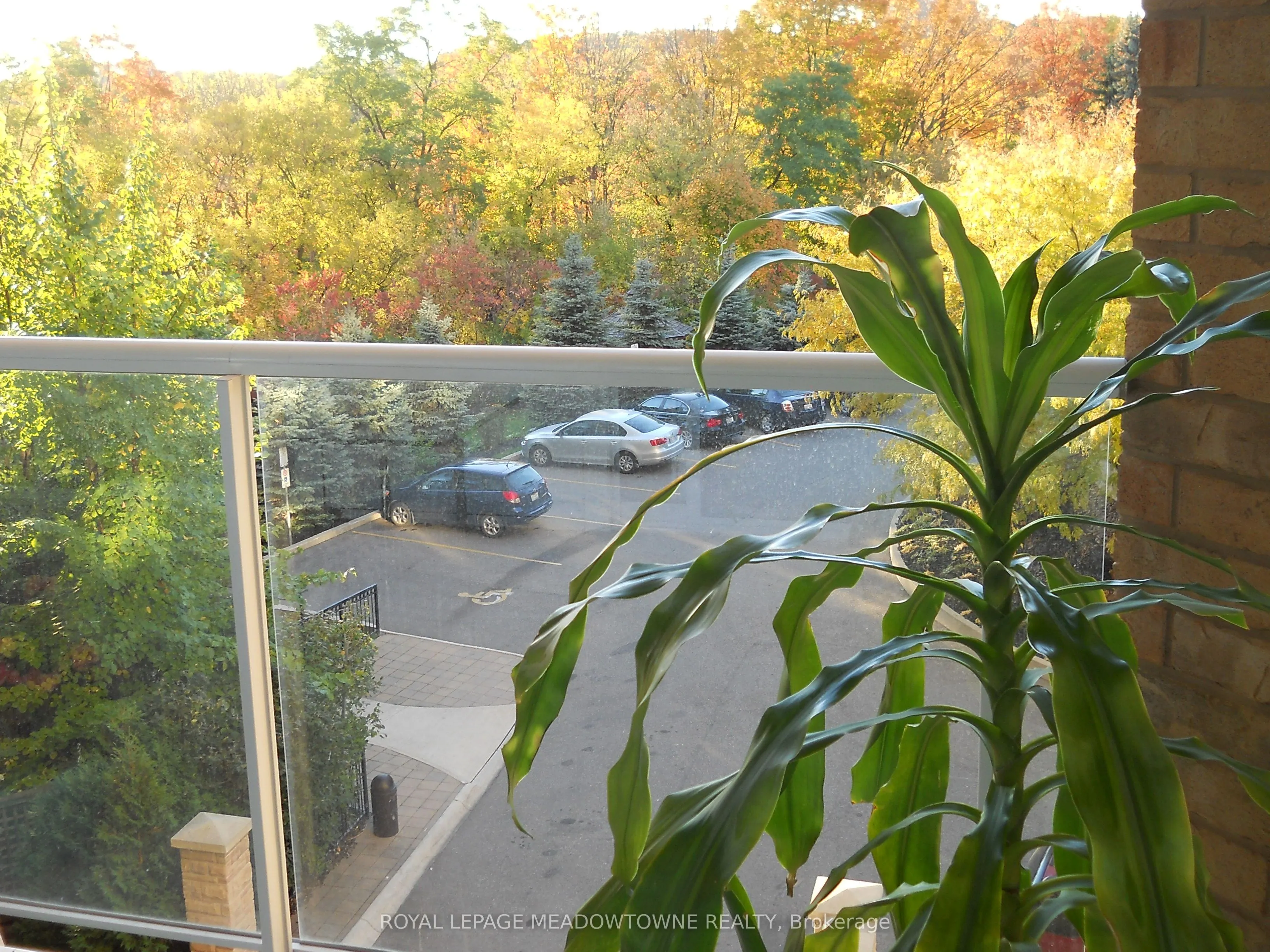 350 Mill Road, #401