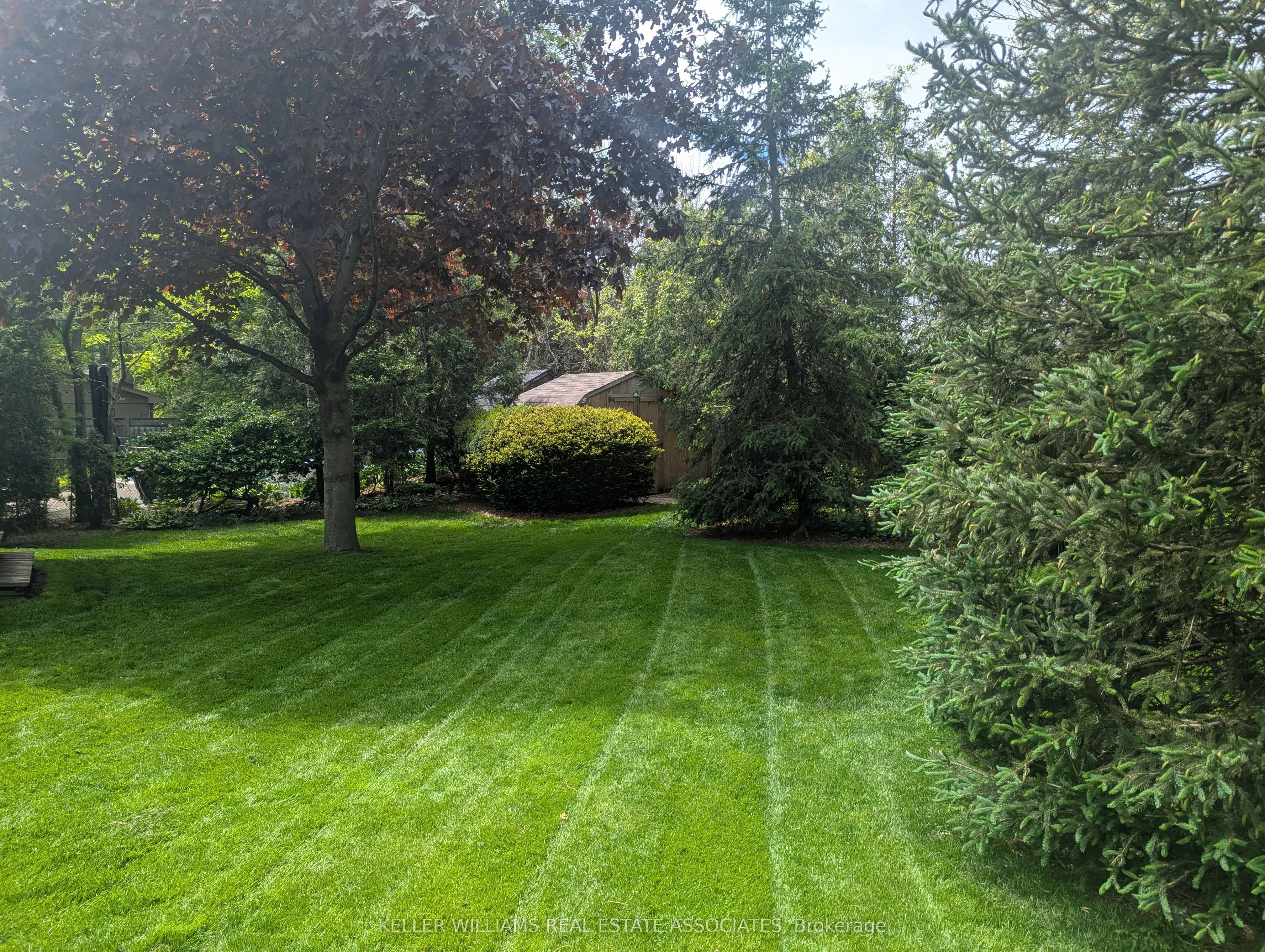 1443 Birchwood Drive