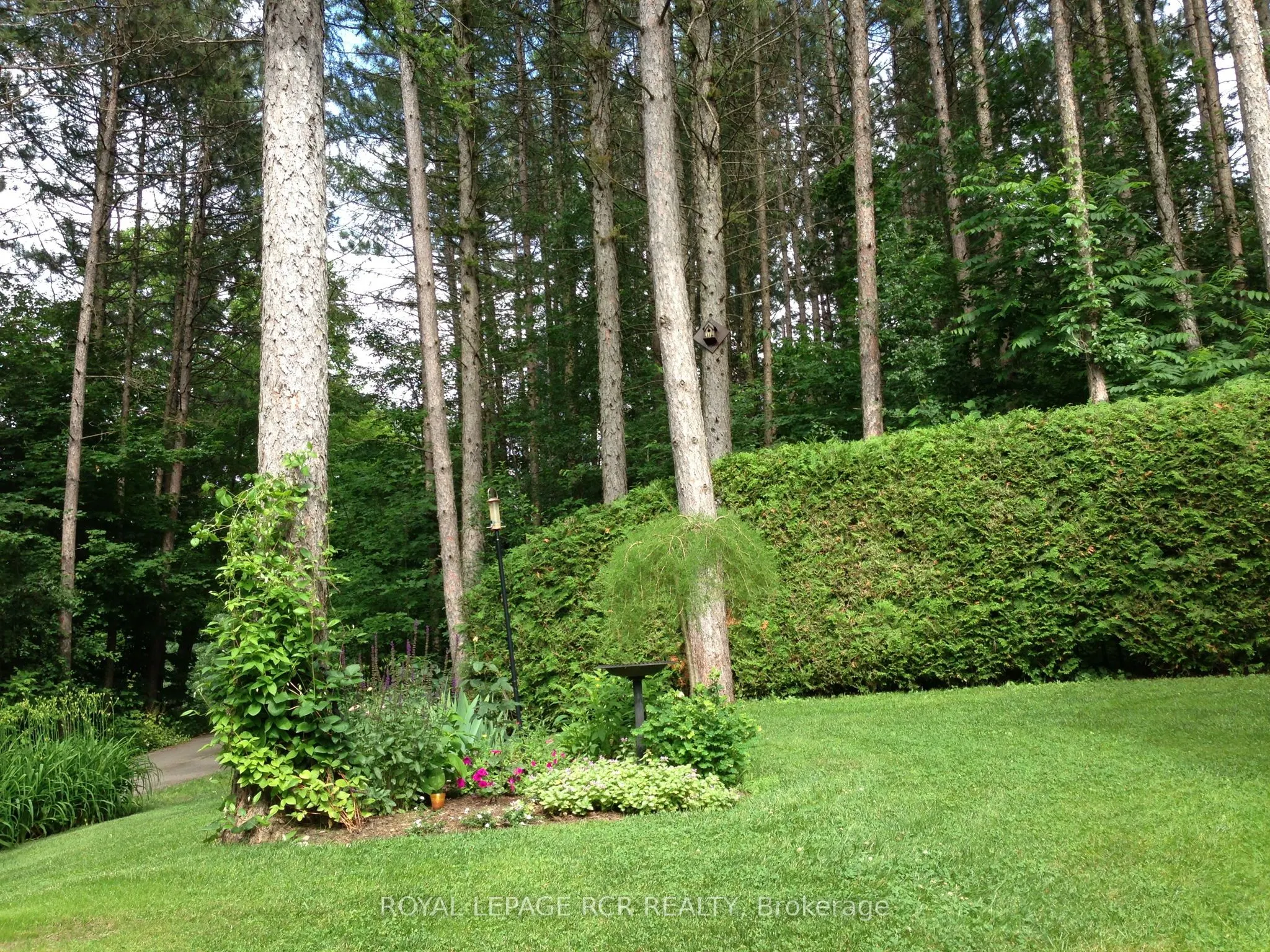 12 Damascus Drive