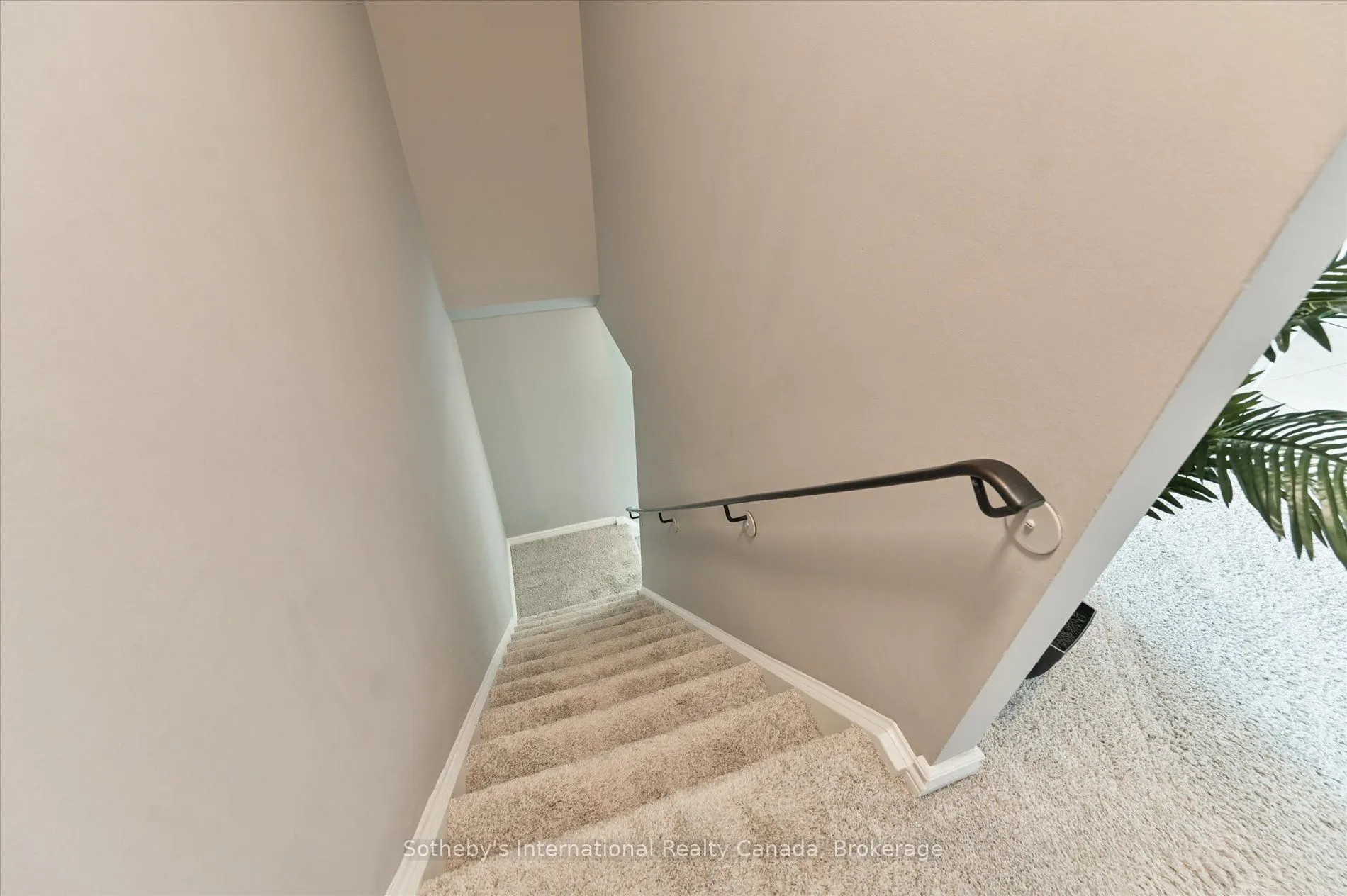 217 Kingham Road, #33