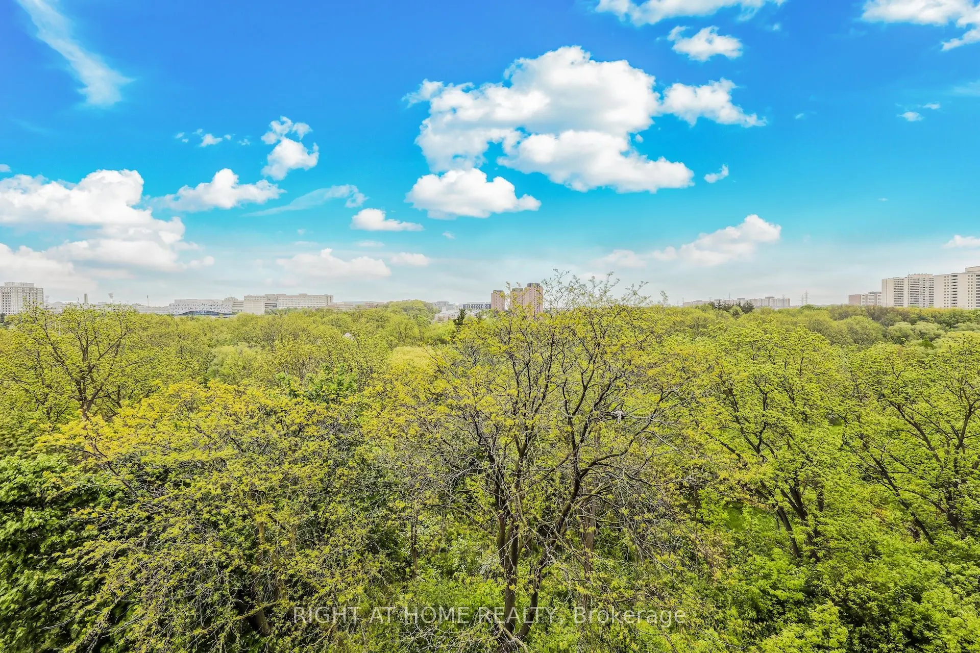 335 Driftwood Avenue, #701