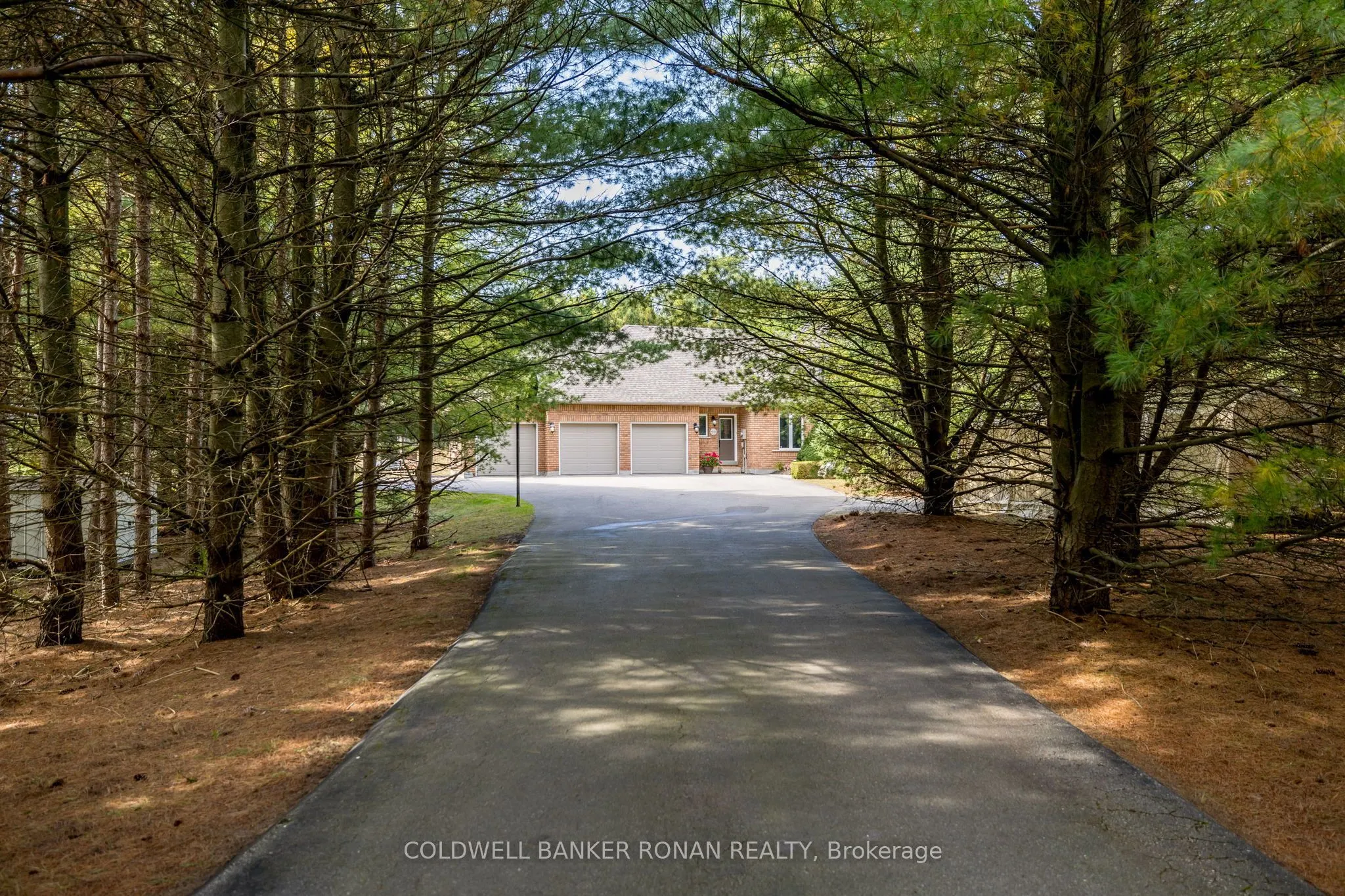 16 Indiana Drive