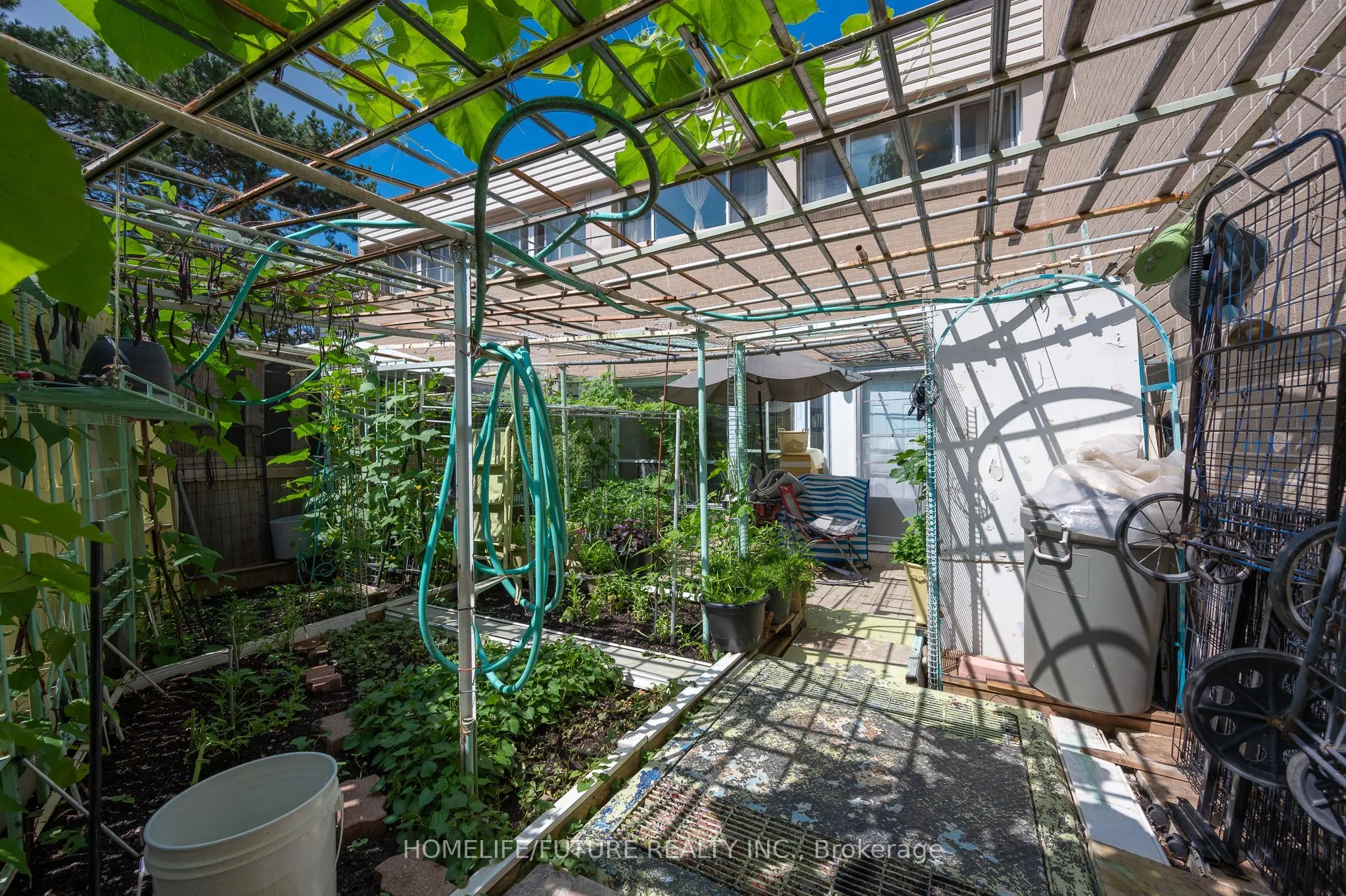 21 London Green Court, #31