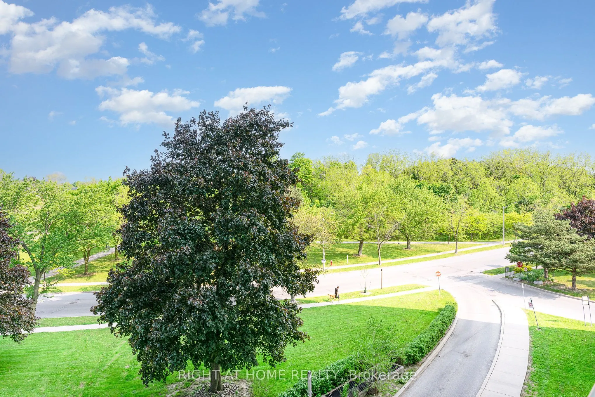 530 Lolita Gardens, #505