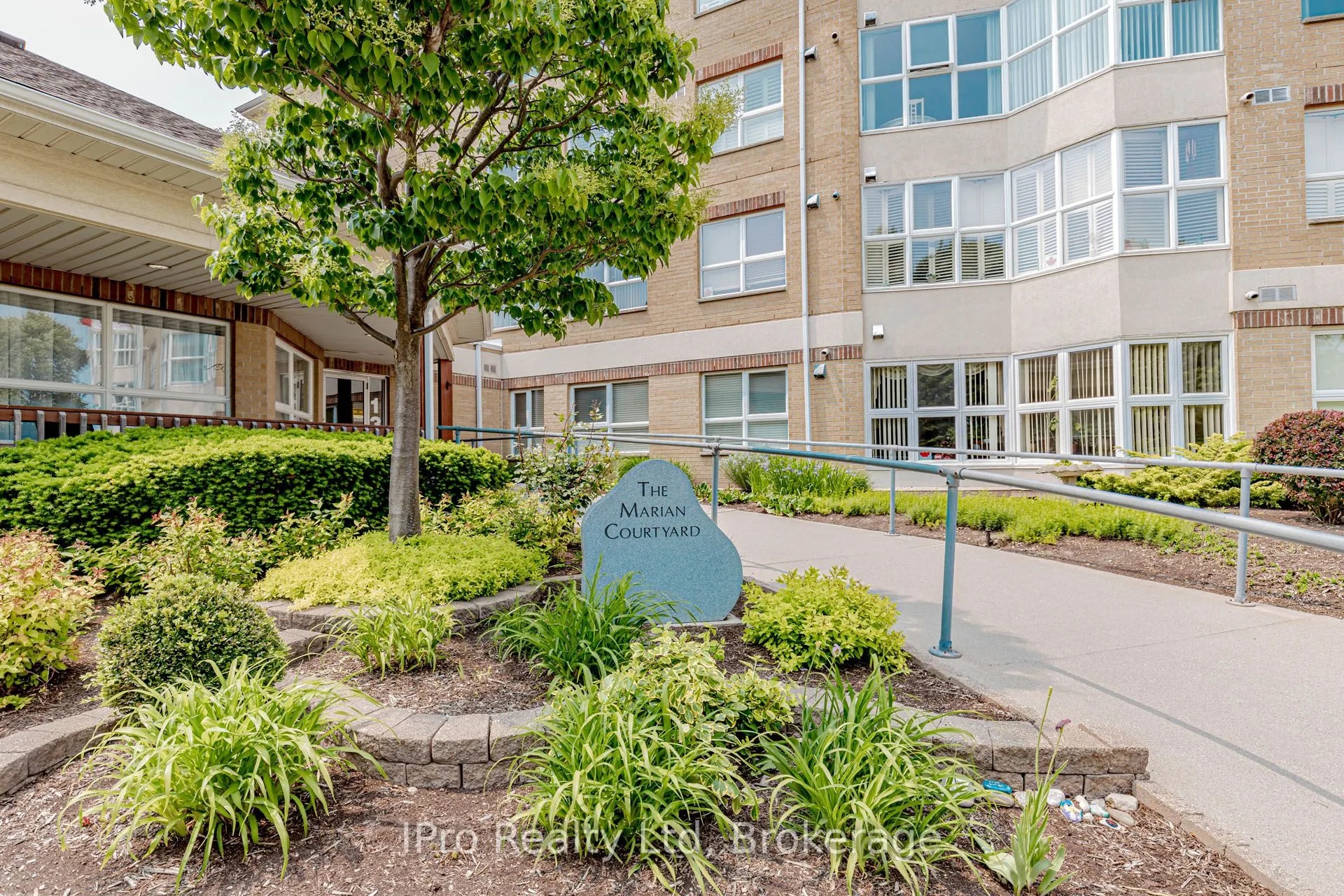137 Martin Street, #403