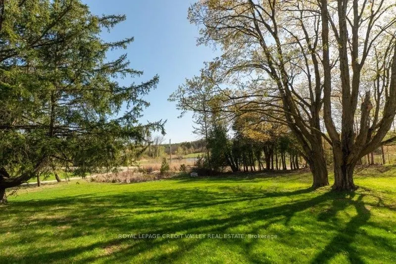 15719 Shaws Creek Road