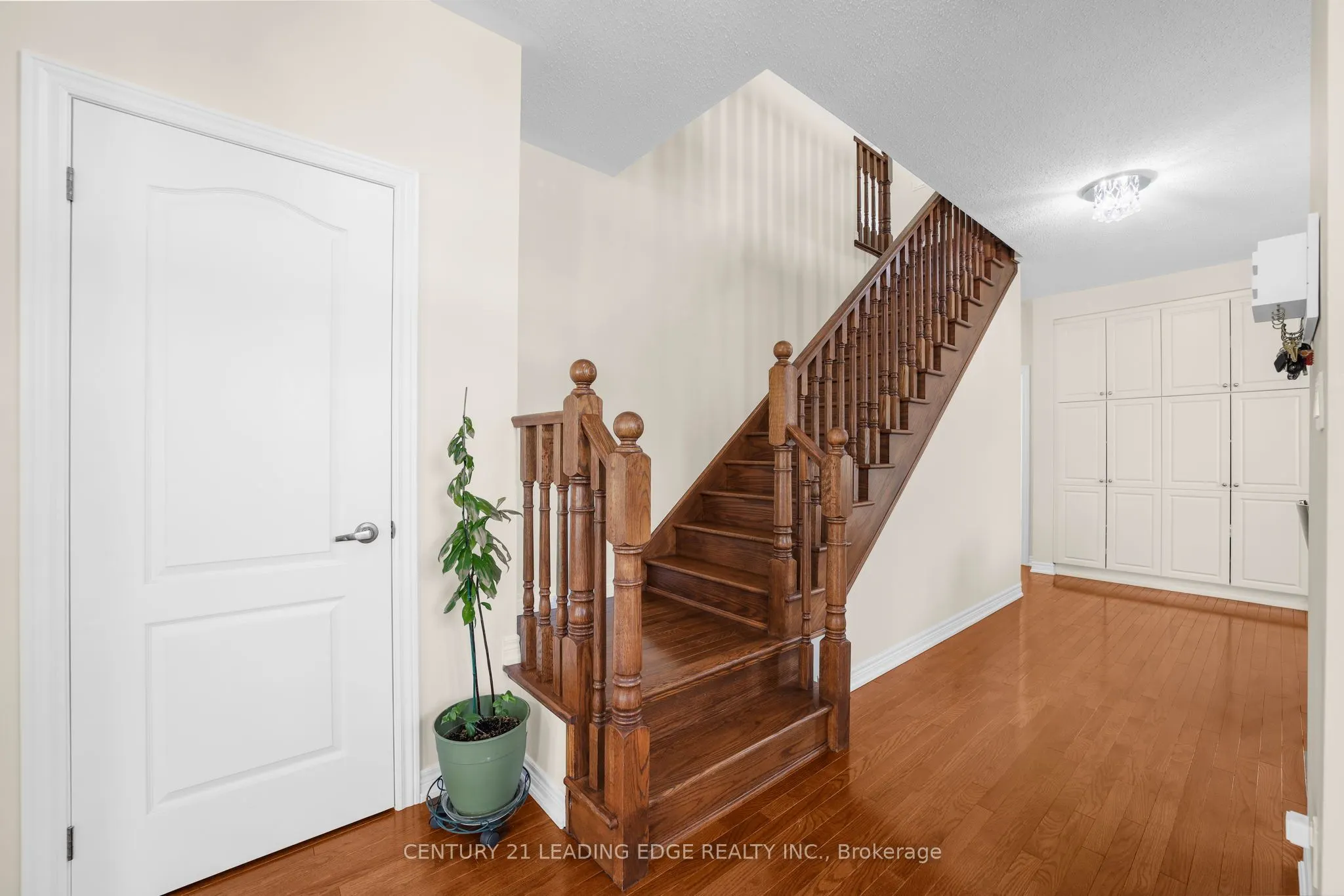 35 Lobelia Street #4