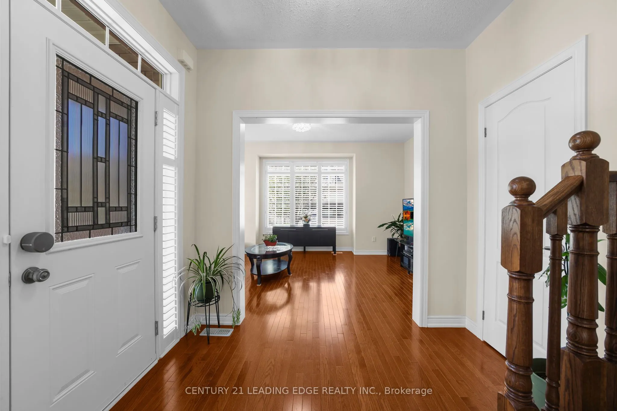 35 Lobelia Street #4