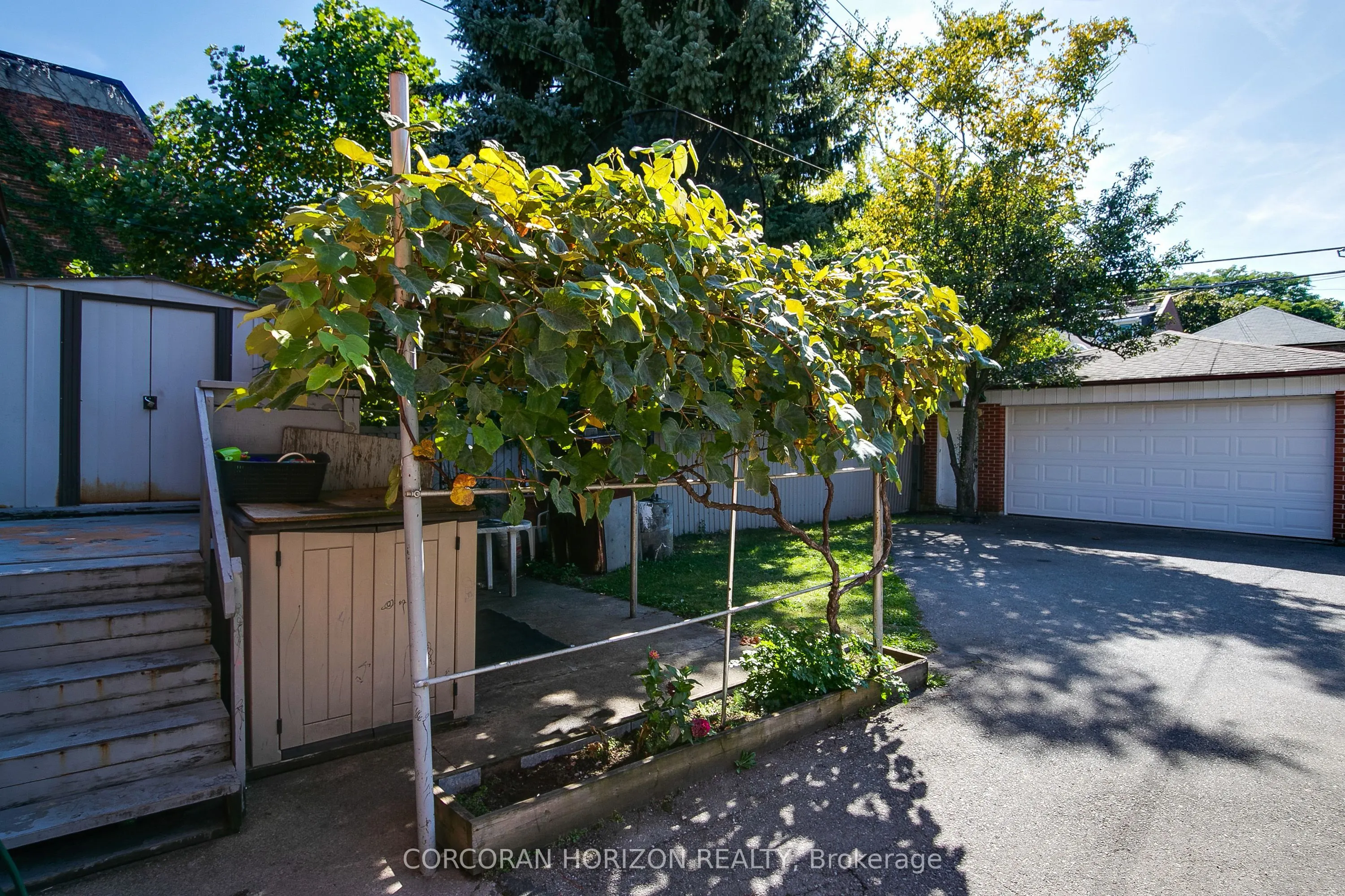 46 Macdonell Avenue
