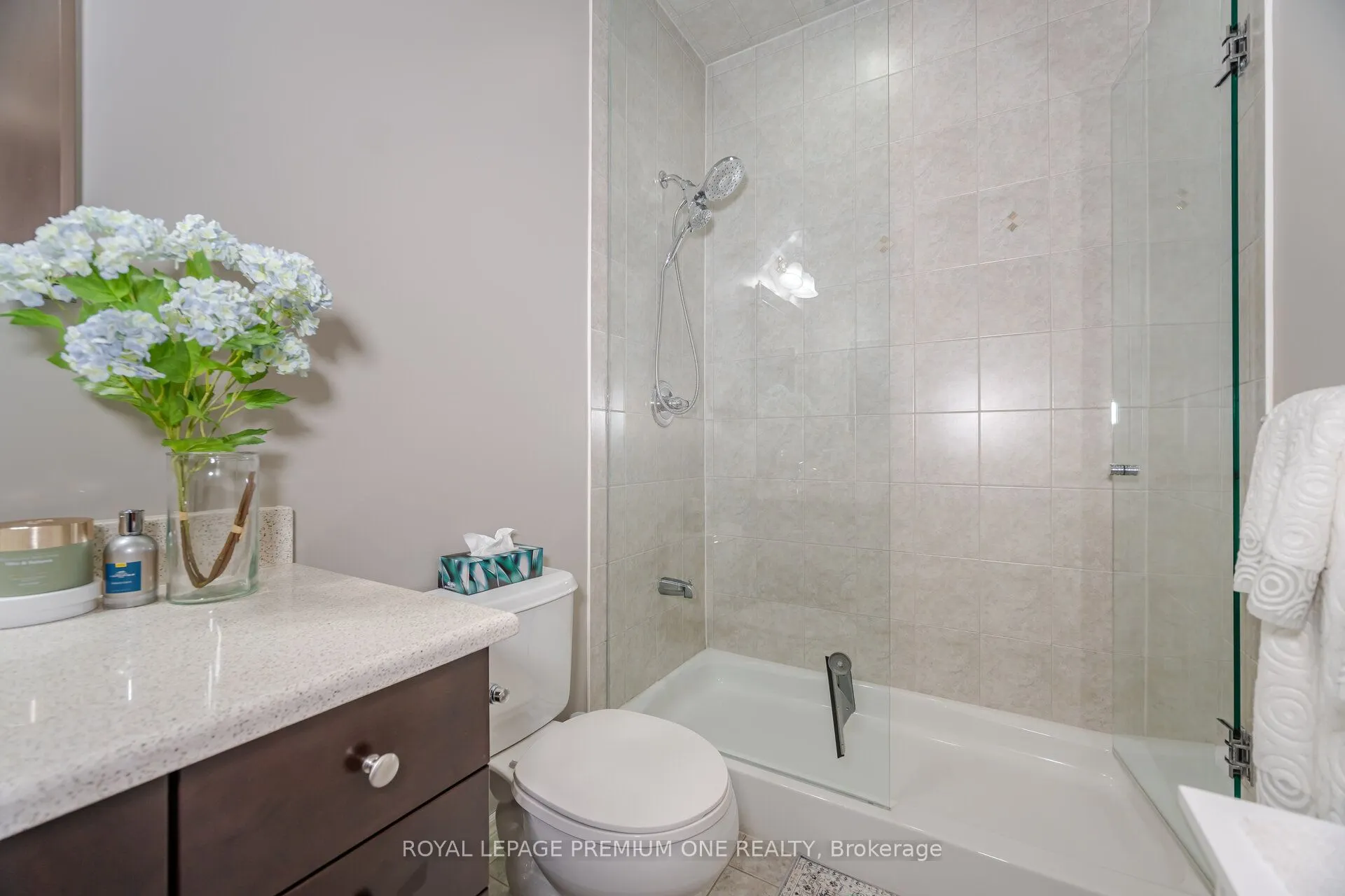 60 Ann Street, #509