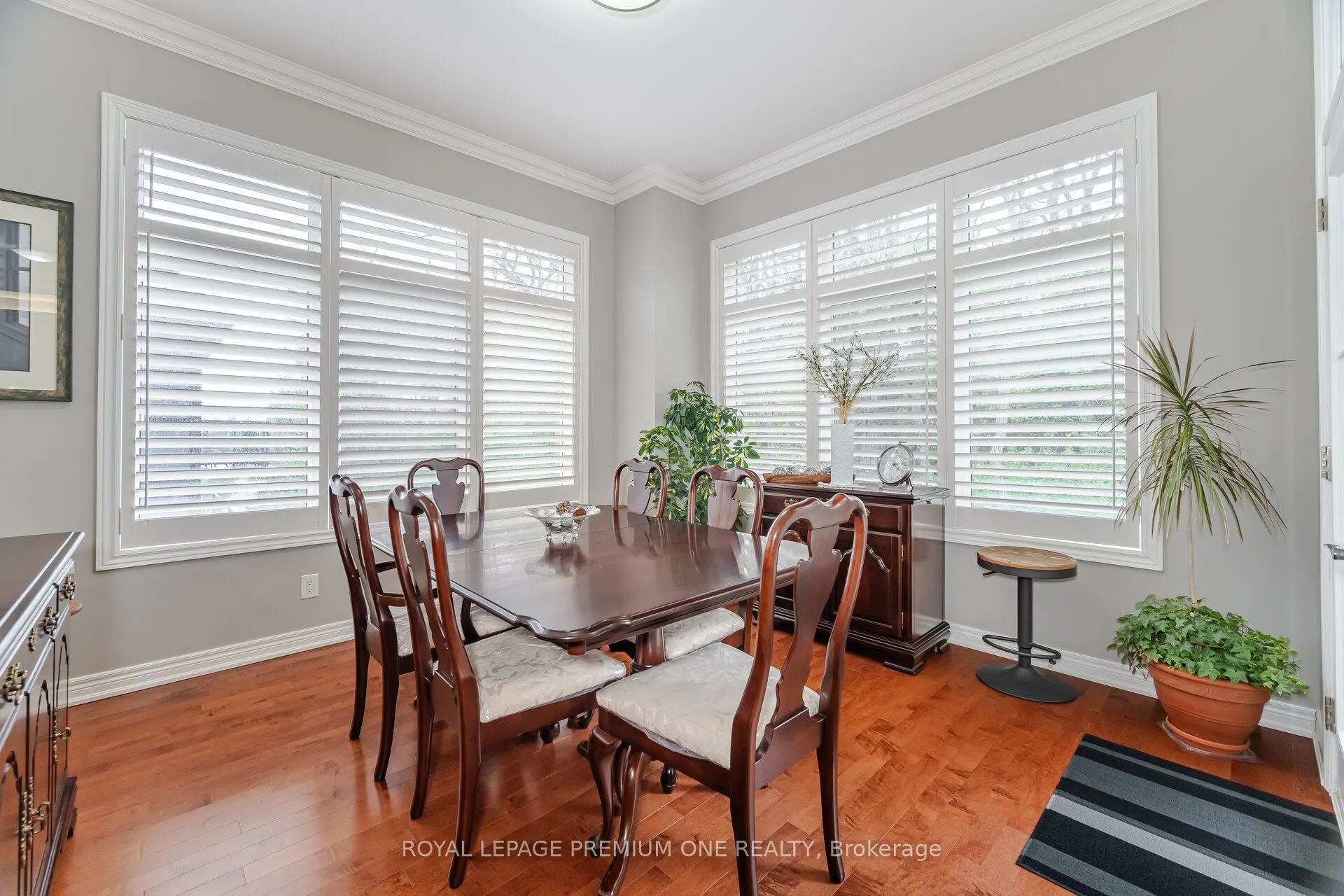 60 Ann Street, #509