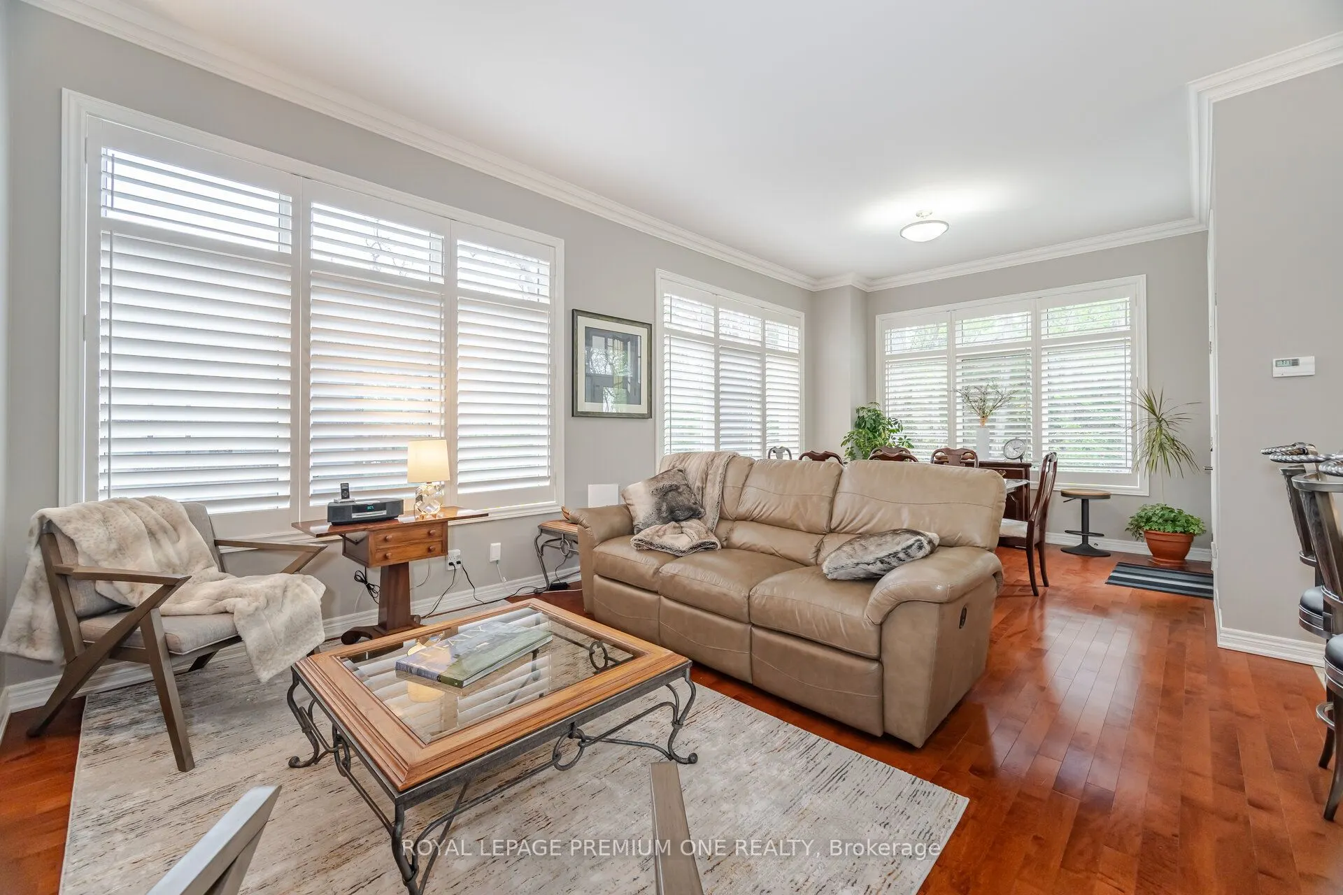 60 Ann Street, #509