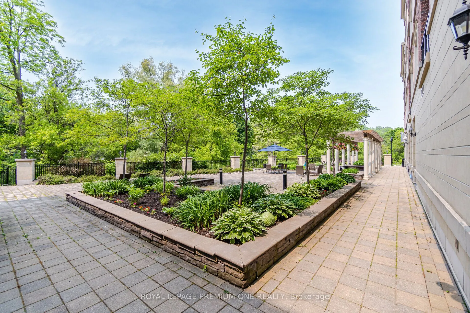 60 Ann Street, #509