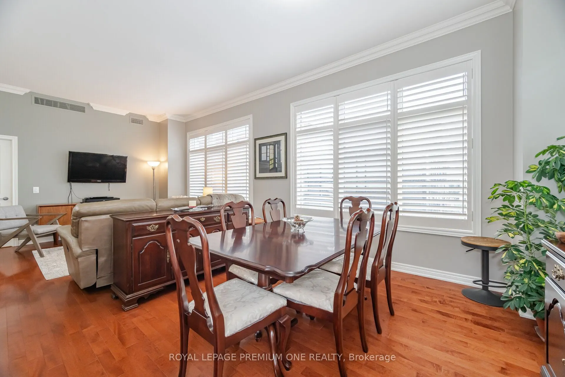 60 Ann Street, #509